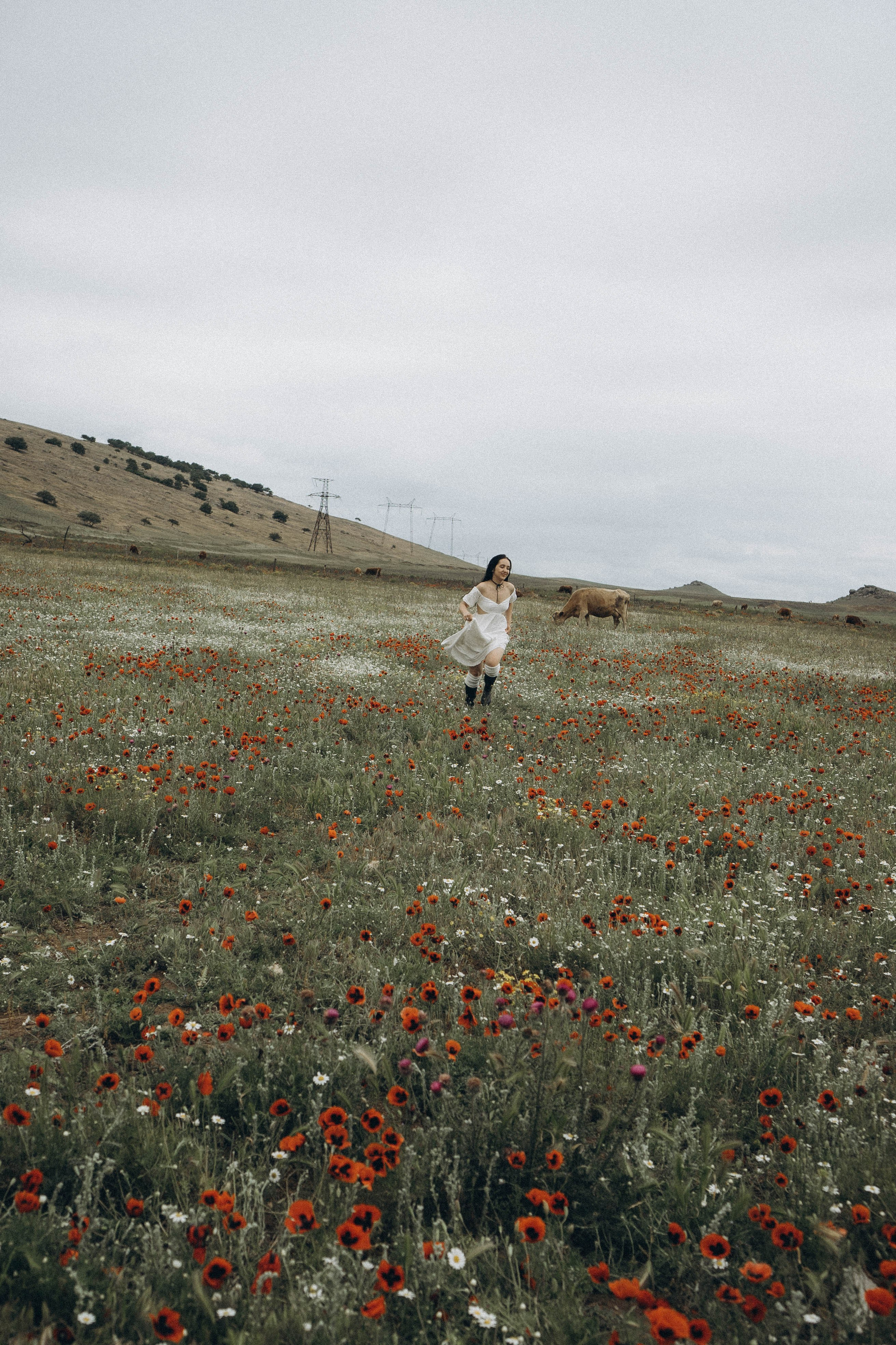 Маковое поле. Профессиональный фотограф, Санкт-Петербург — Виктория Богомолова