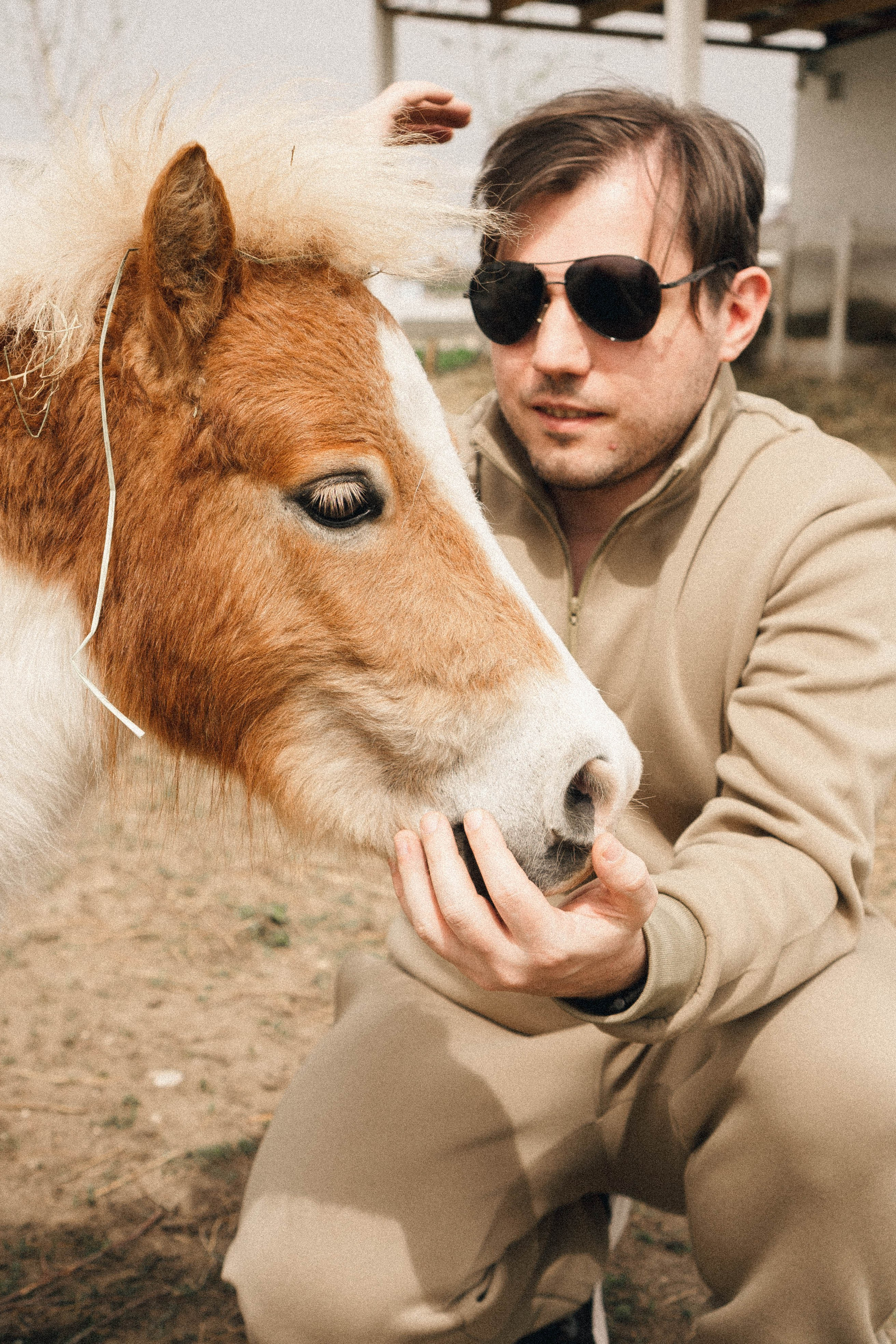 Ферма Альпак. Профессиональный фотограф, Санкт-Петербург — Виктория Богомолова