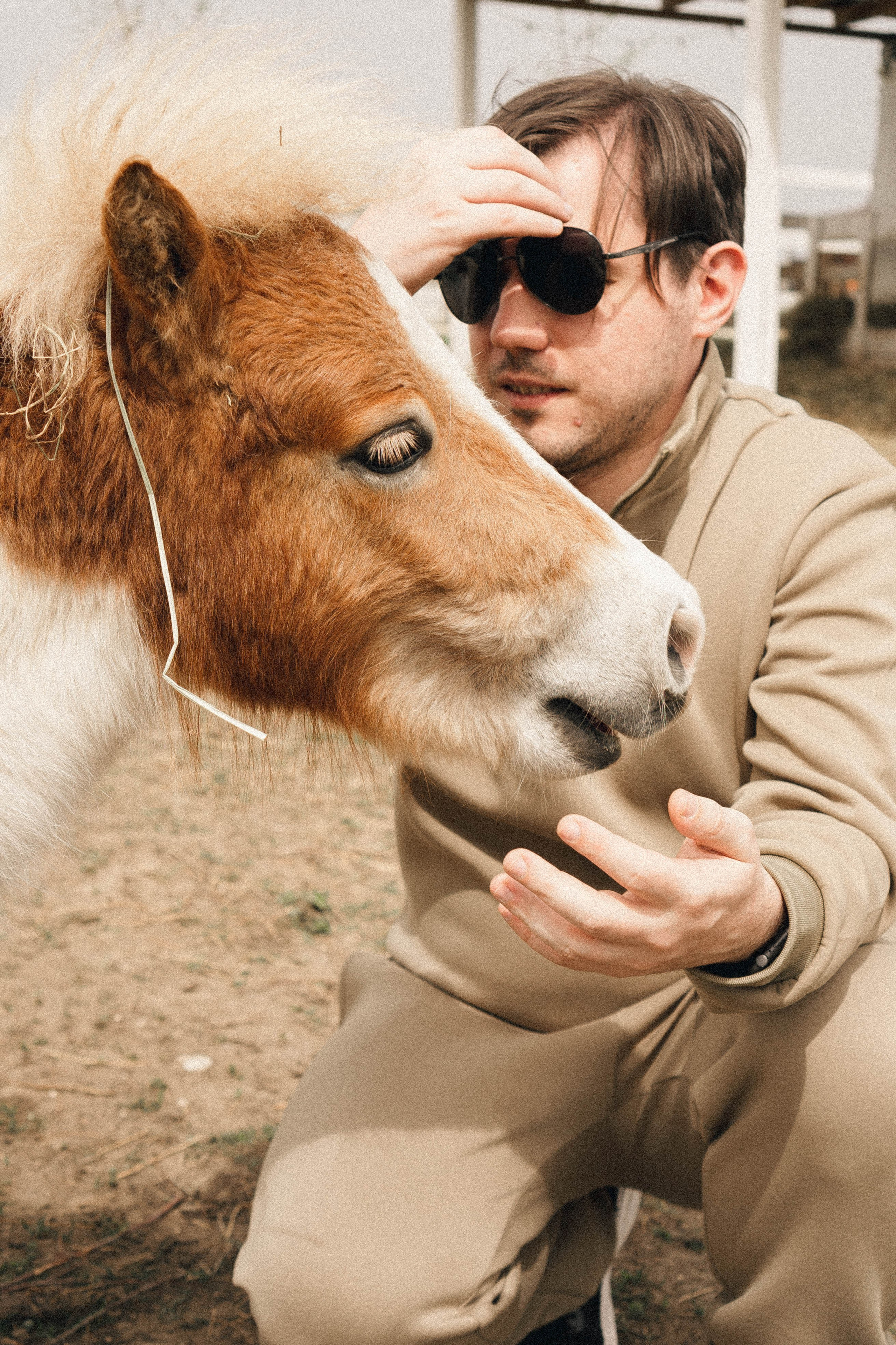 Ферма Альпак. Профессиональный фотограф, Санкт-Петербург — Виктория Богомолова