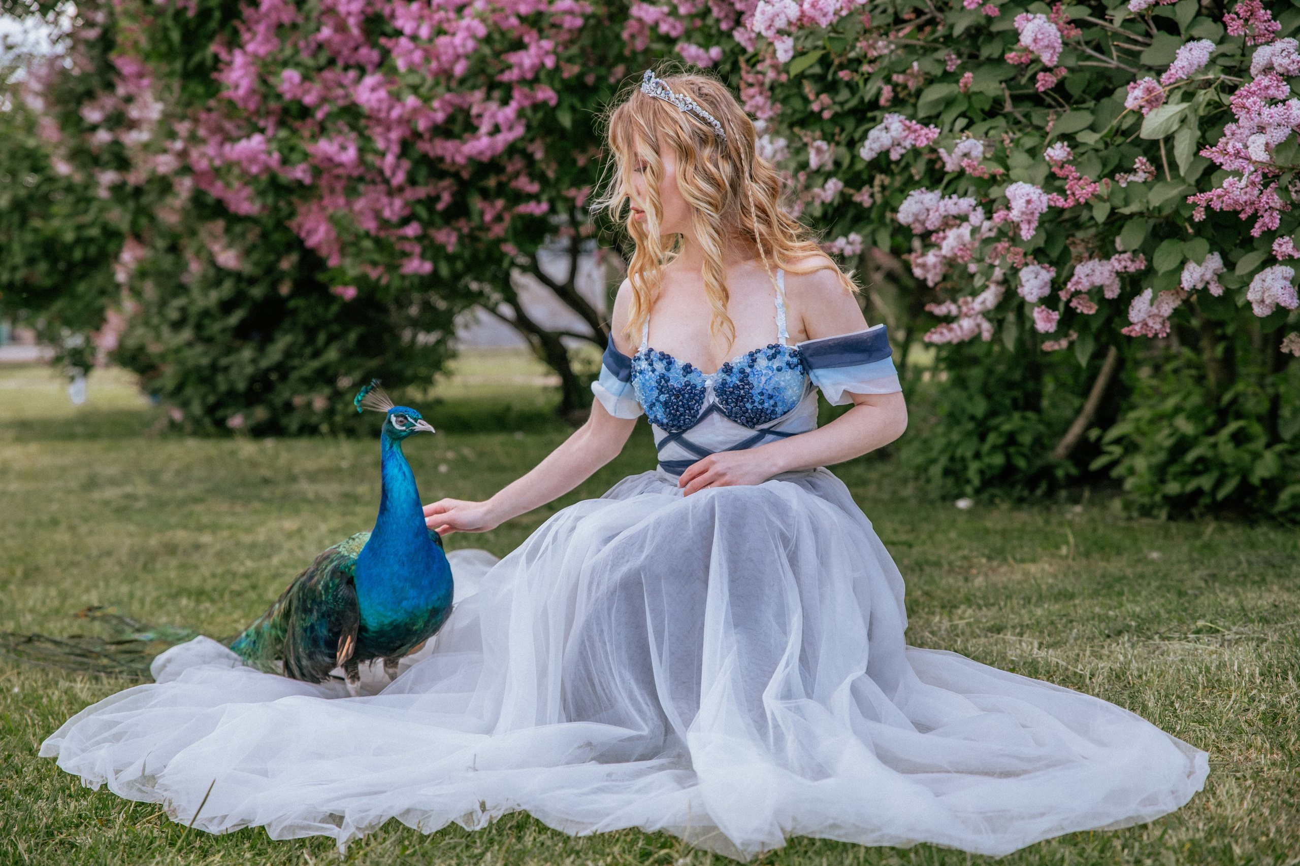 Павлин. Elena Sova — семейный и женский фотограф в Санкт-Петербурге
