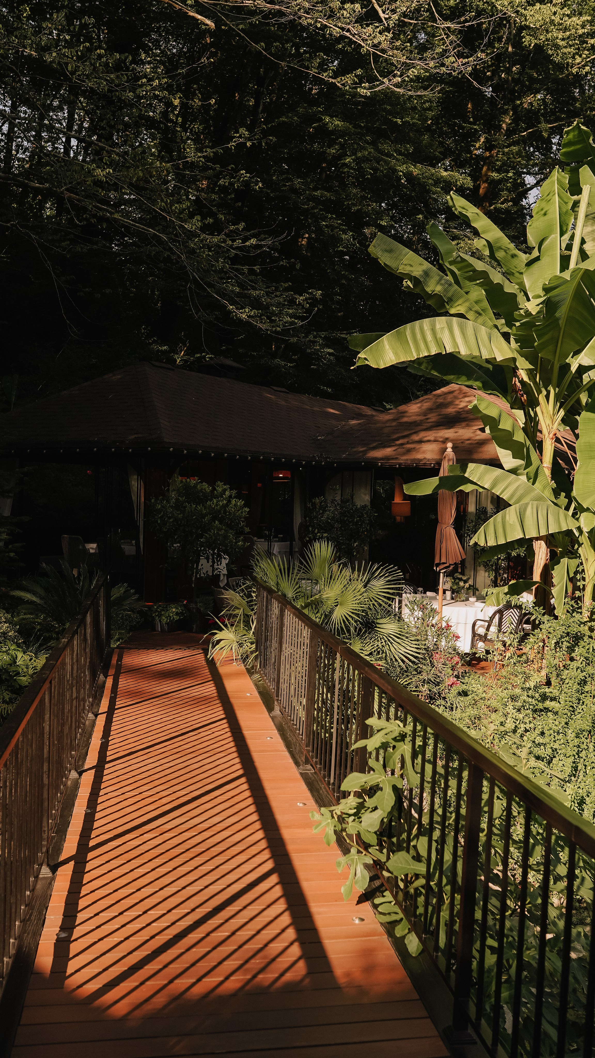 Мамай-Кале — Ресторан в лесу. Милана Довгаль - семейный фотограф и видеограф  в Адлере и Сочи