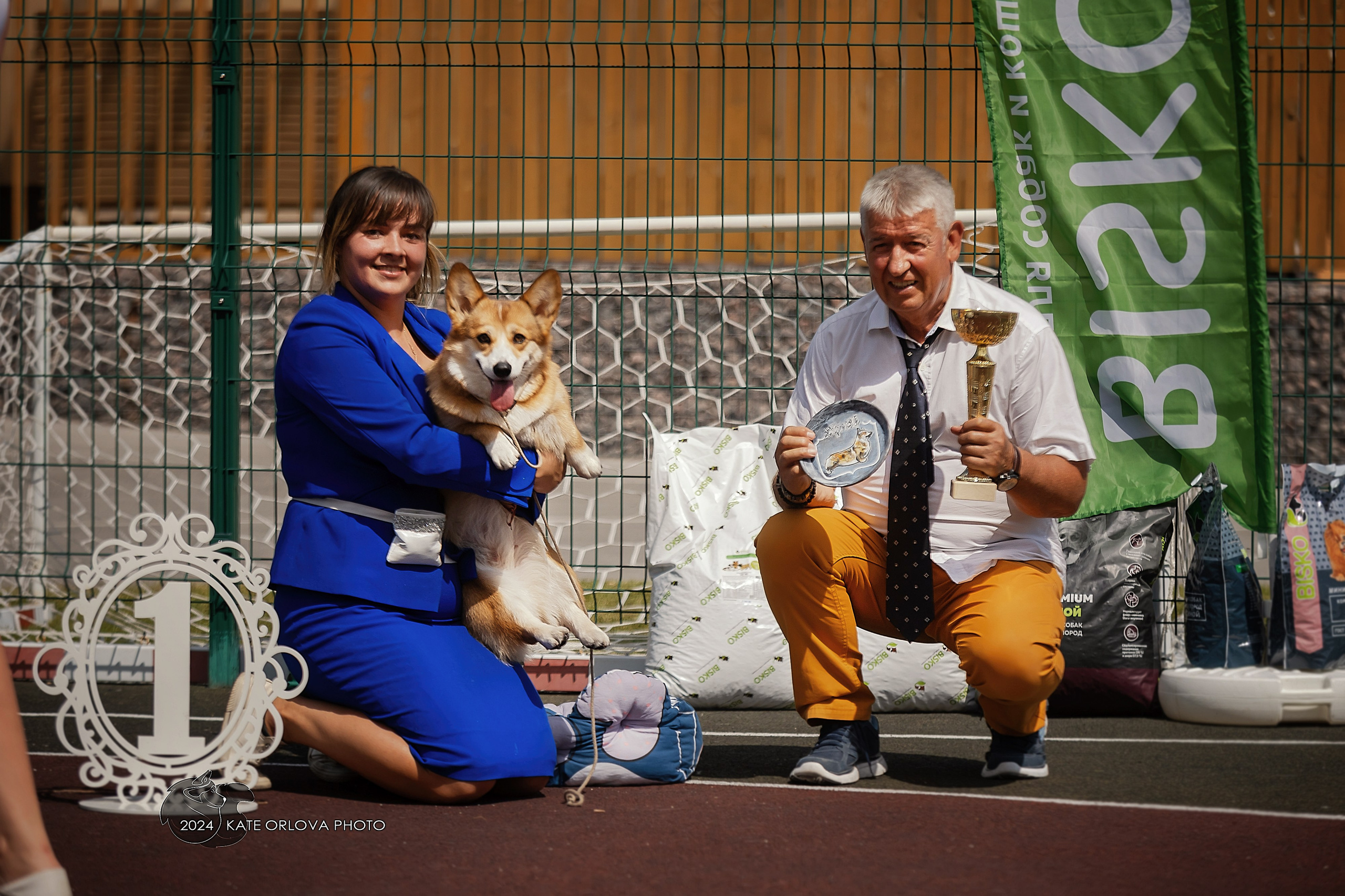 Фотосъемка собак, щенков, на выставках, фотограф анималист Россия воронеж. Питомник собак Акита, Хаски, Корги