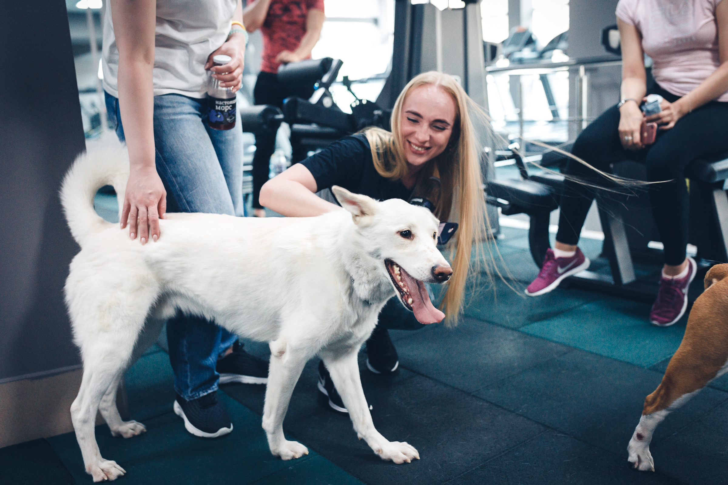 Кач-туса. Бизнес портрет Аэросъемка Интерьерная съемка Тюмень