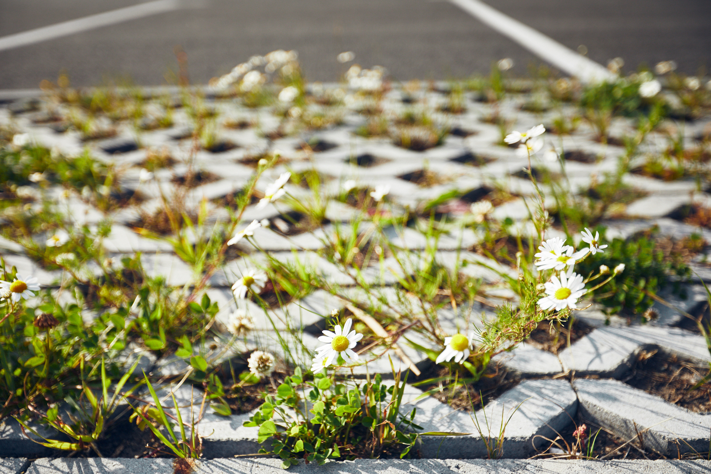 Новый мыс 3.0 © ГК «Меридиан». Бизнес портрет Аэросъемка Интерьерная съемка Тюмень