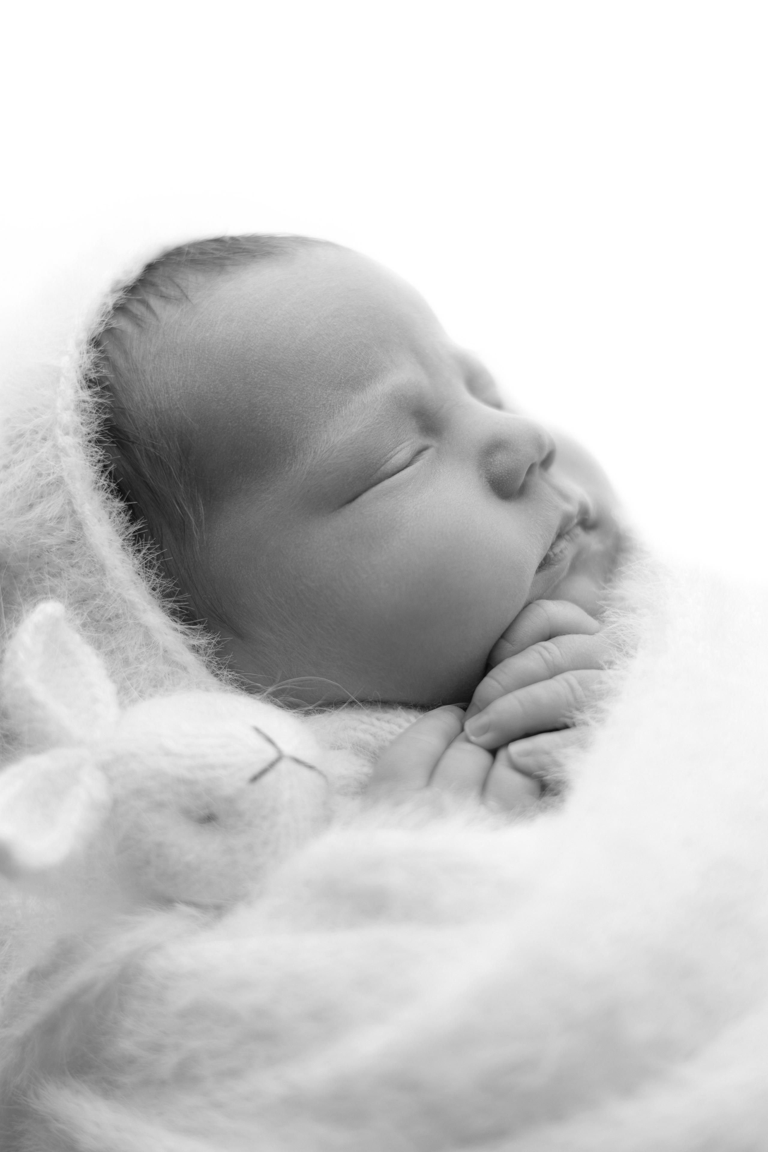 Лев. Лилия Алтухова — фотограф новорожденных в Москве и области