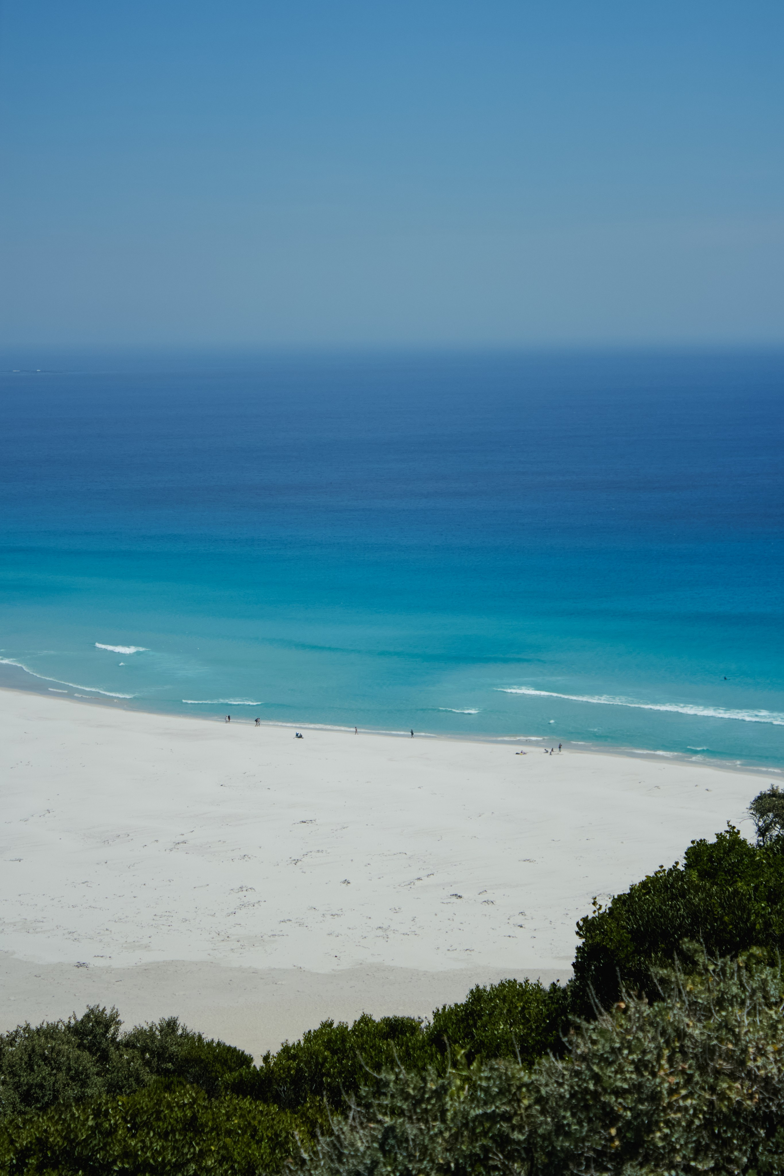 ЮАР. Профессиональный Фотограф во Владимире, в Москве и в Суздале — Полина Романычева