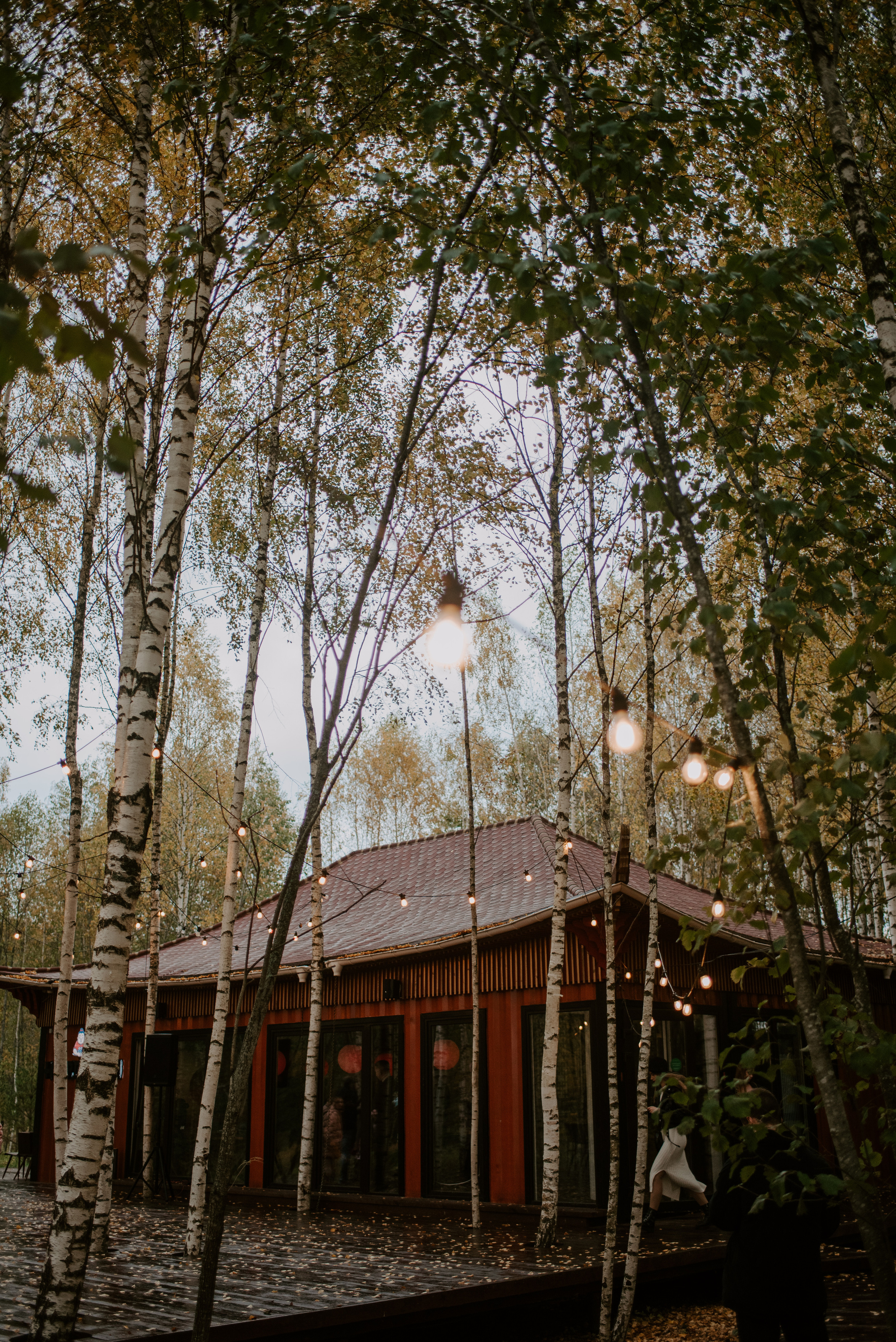 Осенняя история любви. Свадебный, репортажный и семейный фотограф в Москве Арина Зак