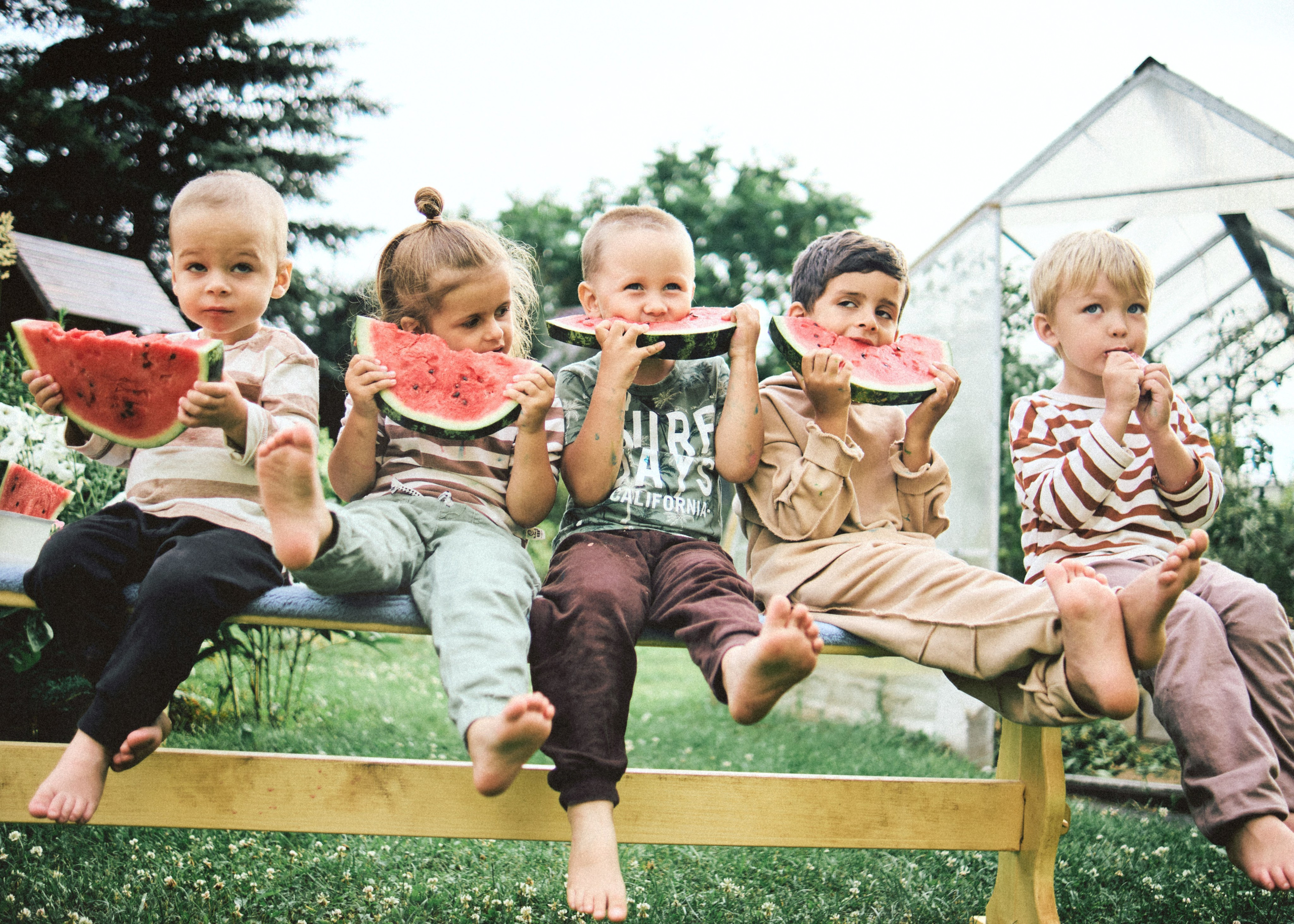 Банда. SHILOVA PHOTO. Шилова Екатерина. Фотограф. Москва