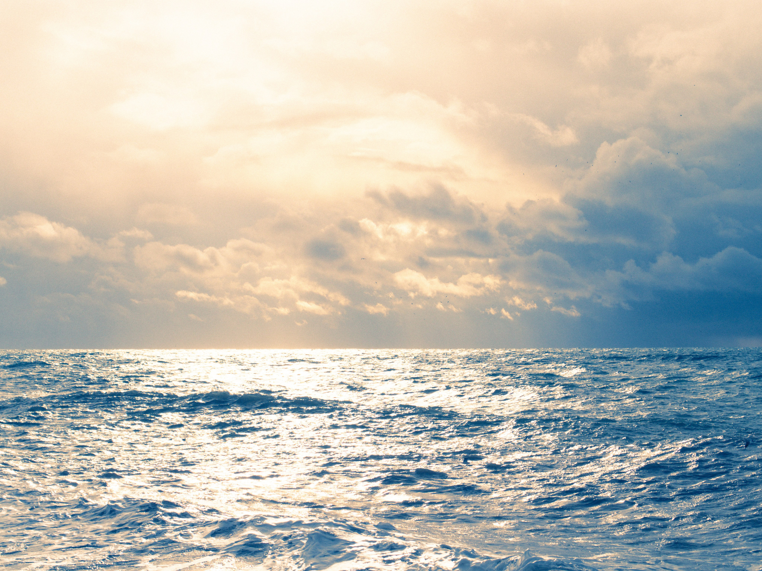 Seaside. SHILOVA PHOTO. Шилова Екатерина. Фотограф. Москва