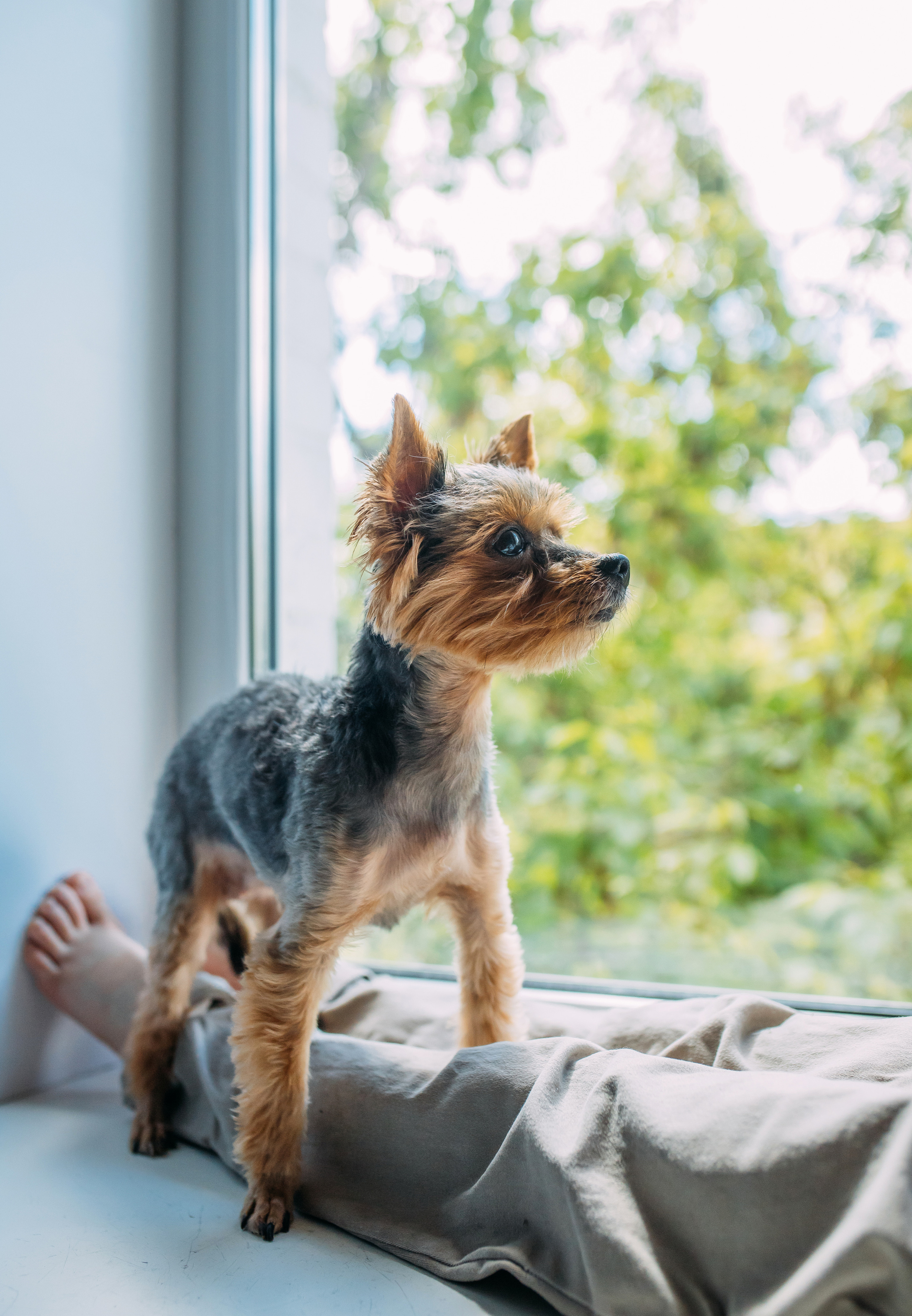 Катя, Дима, Даня, Саша. Семейный и детский фотограф Москва Анастасия Барышева