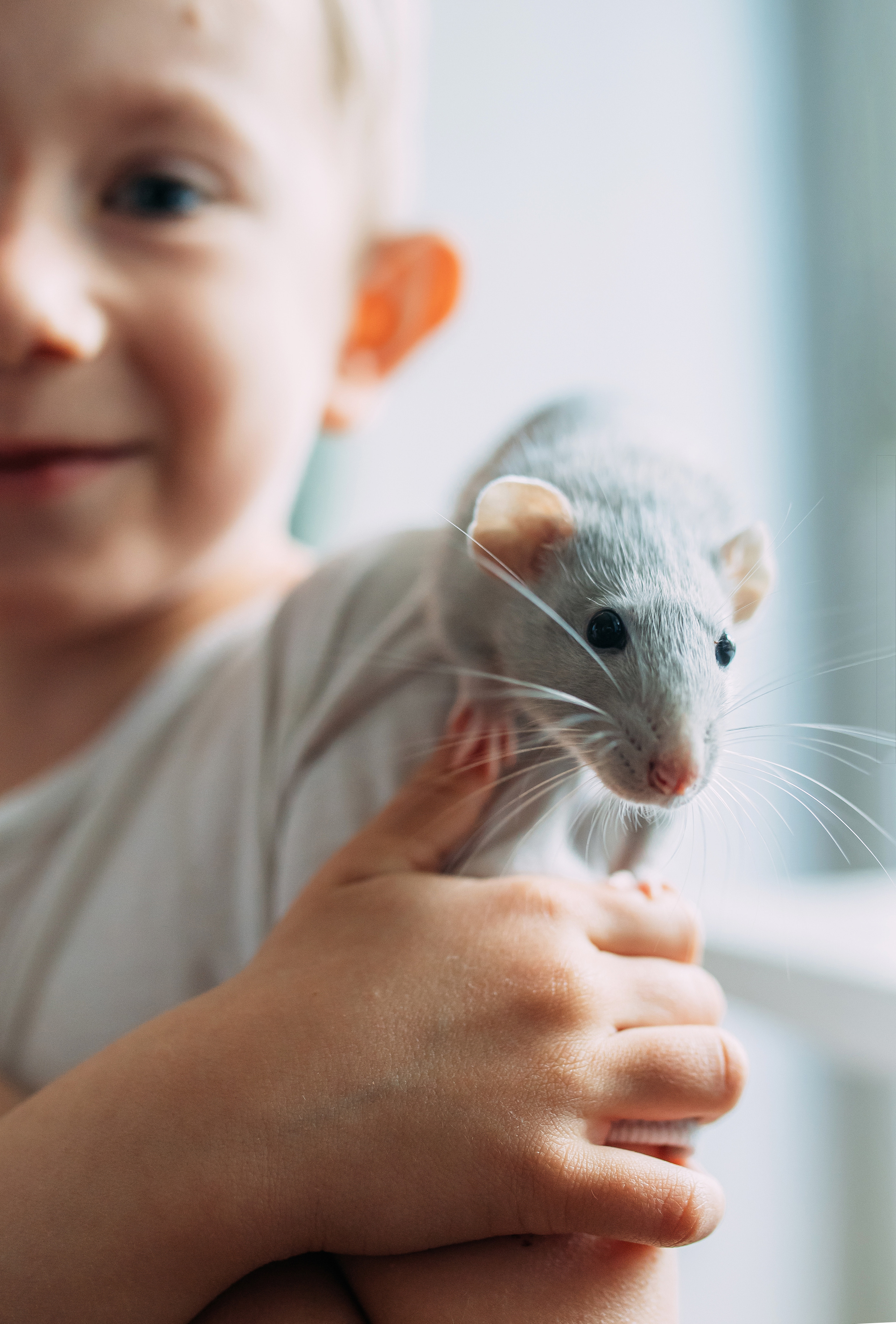 Катя, Дима, Даня, Саша. Семейный и детский фотограф Москва Анастасия Барышева