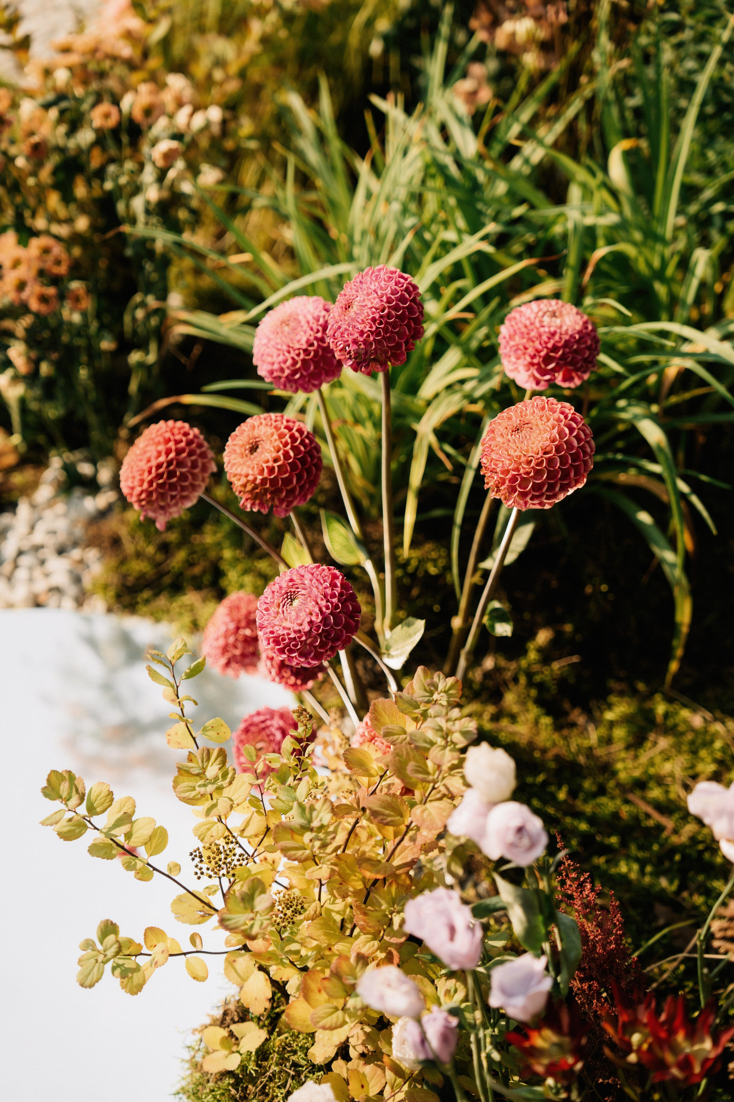 Одна на миллион. Свадебный фотограф в Калуге Алексей Климов