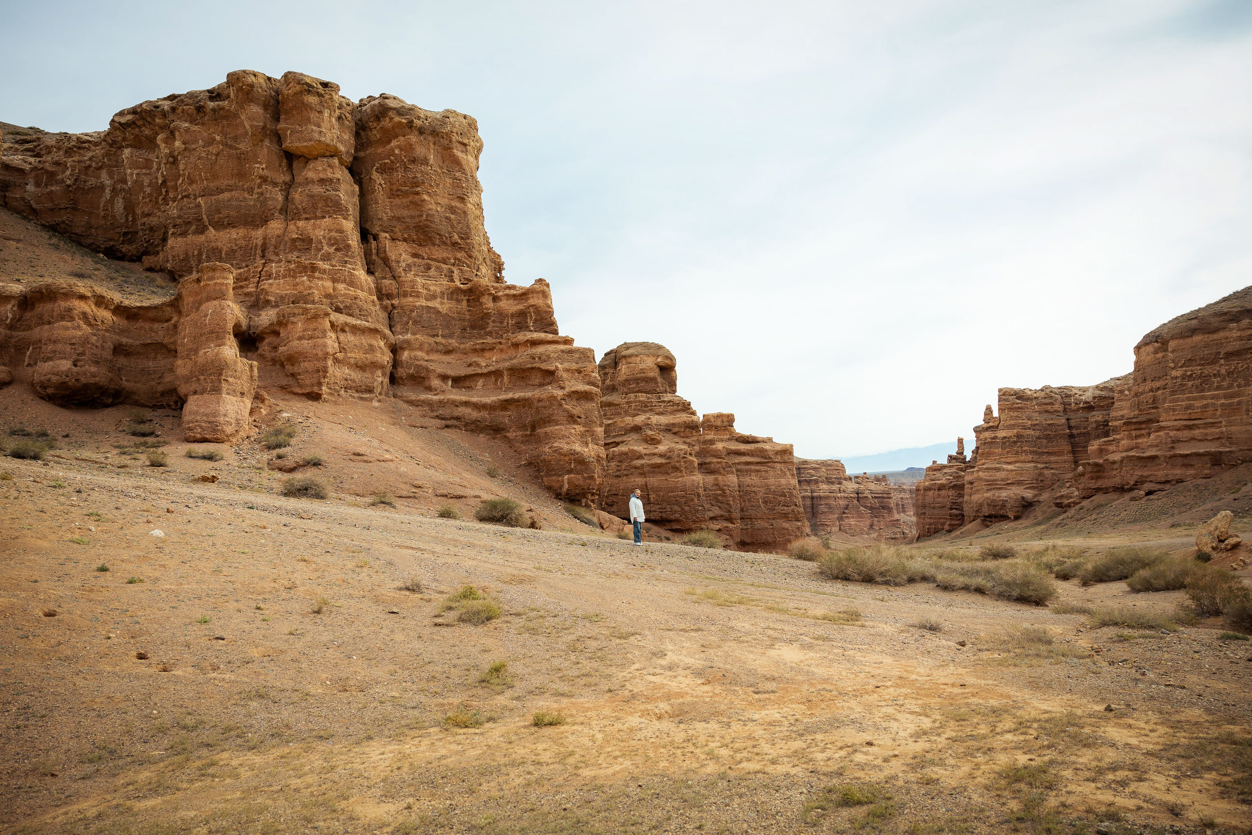 Казахстан (осень 2024). Фотограф Виноградов Константин
