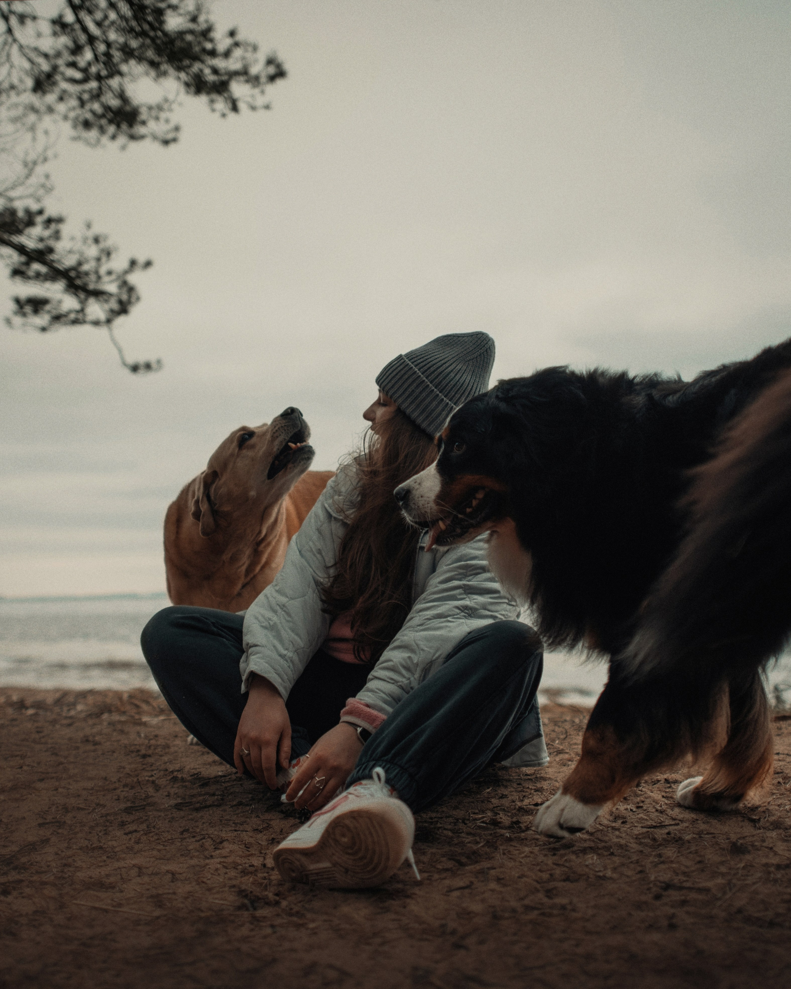 Прогулка: берн Пума, Фрэнк и Юля в Питере. Портфолио