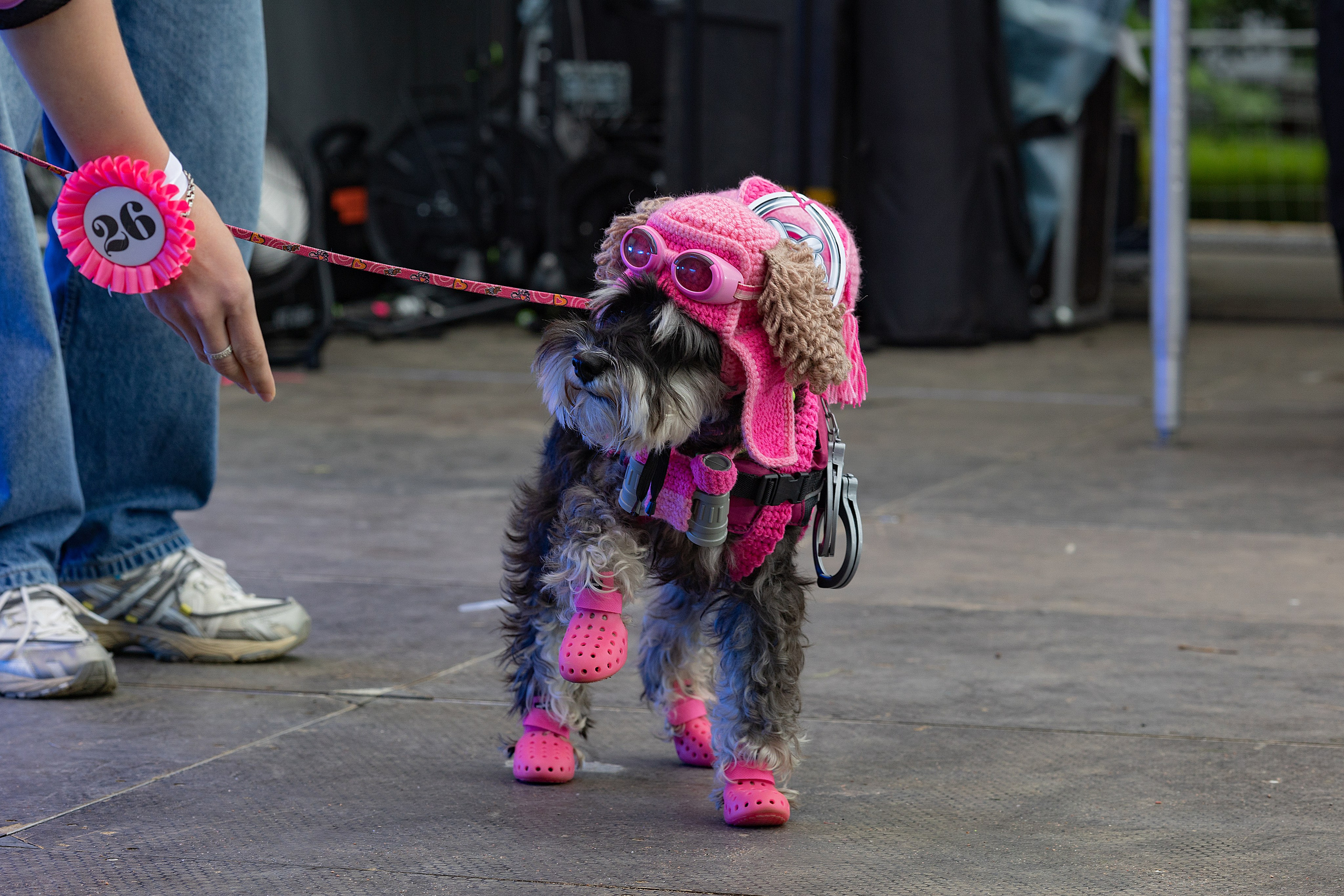 Petshop Days 2026. Репортажный фотограф