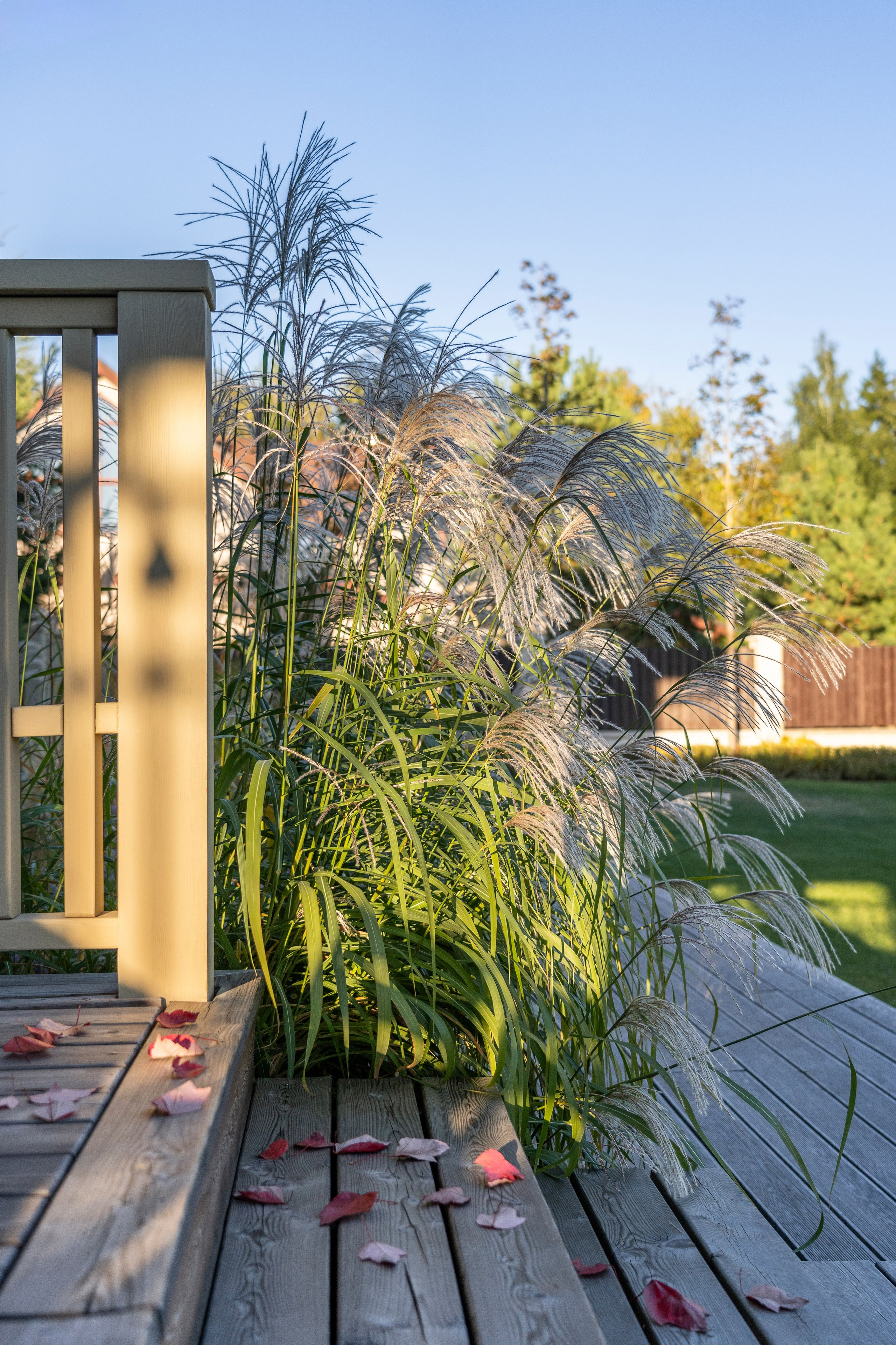 In the mystery of the setting sun. Артамонов Александр | Архитектурный и ландшафтный фотограф