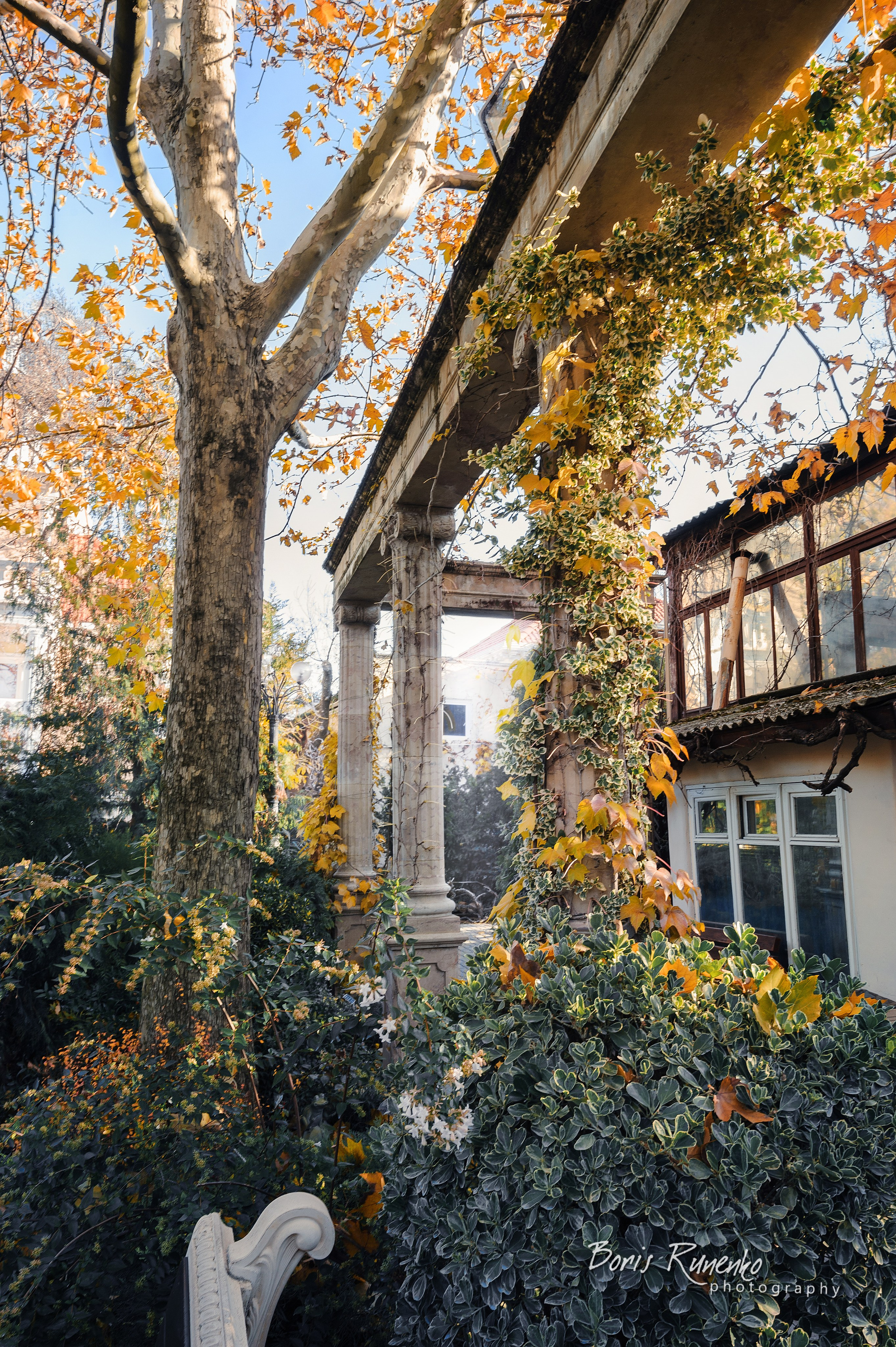 КАБАРДИНКА. СТАРЫЙ ПАРК. Борис Руненко. Пейзажный и travel-фотограф