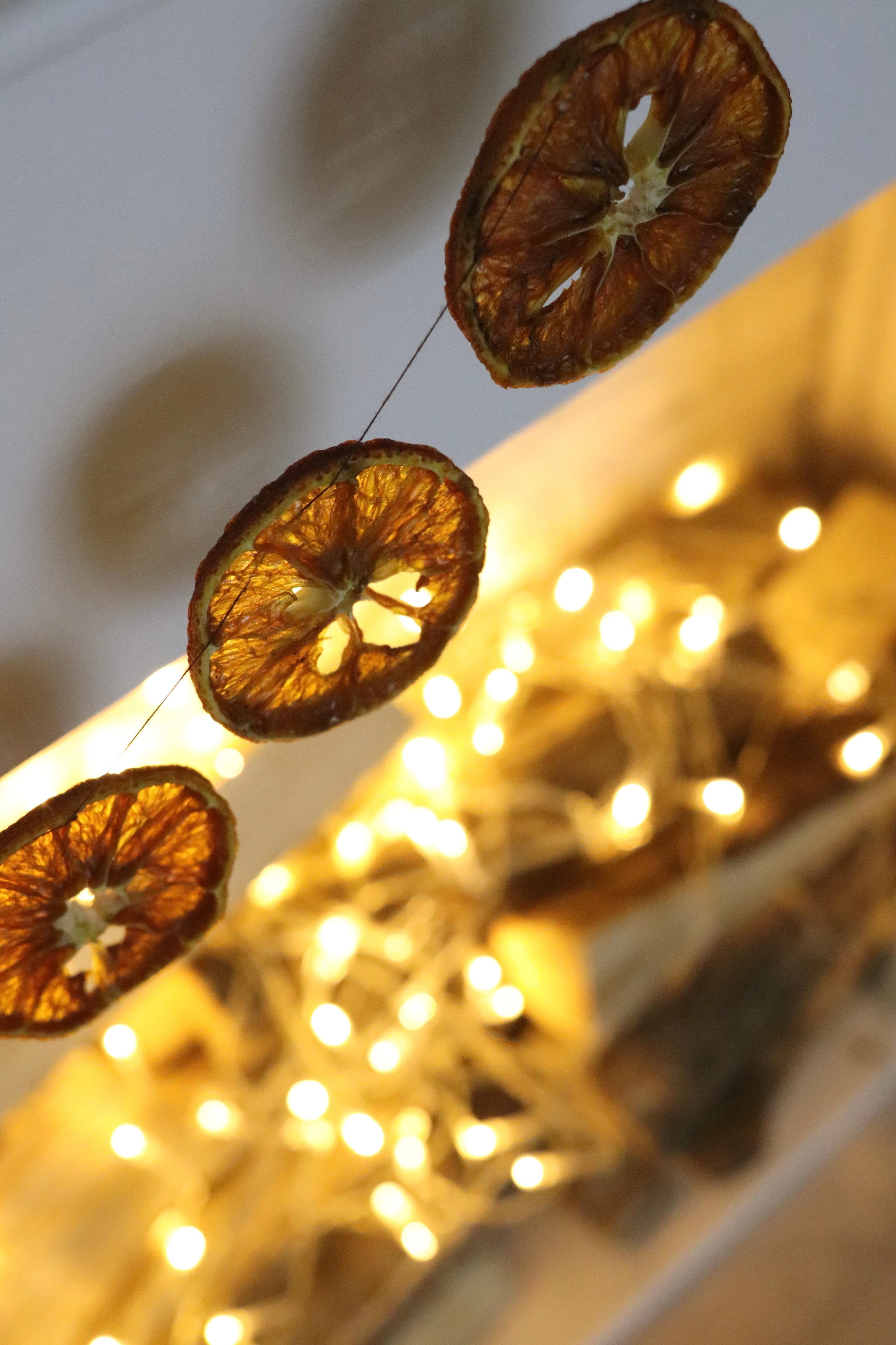 ЛеТТ Лофт. Фотограф г. Хабаровск. Семейные и индивидуальные съёмки