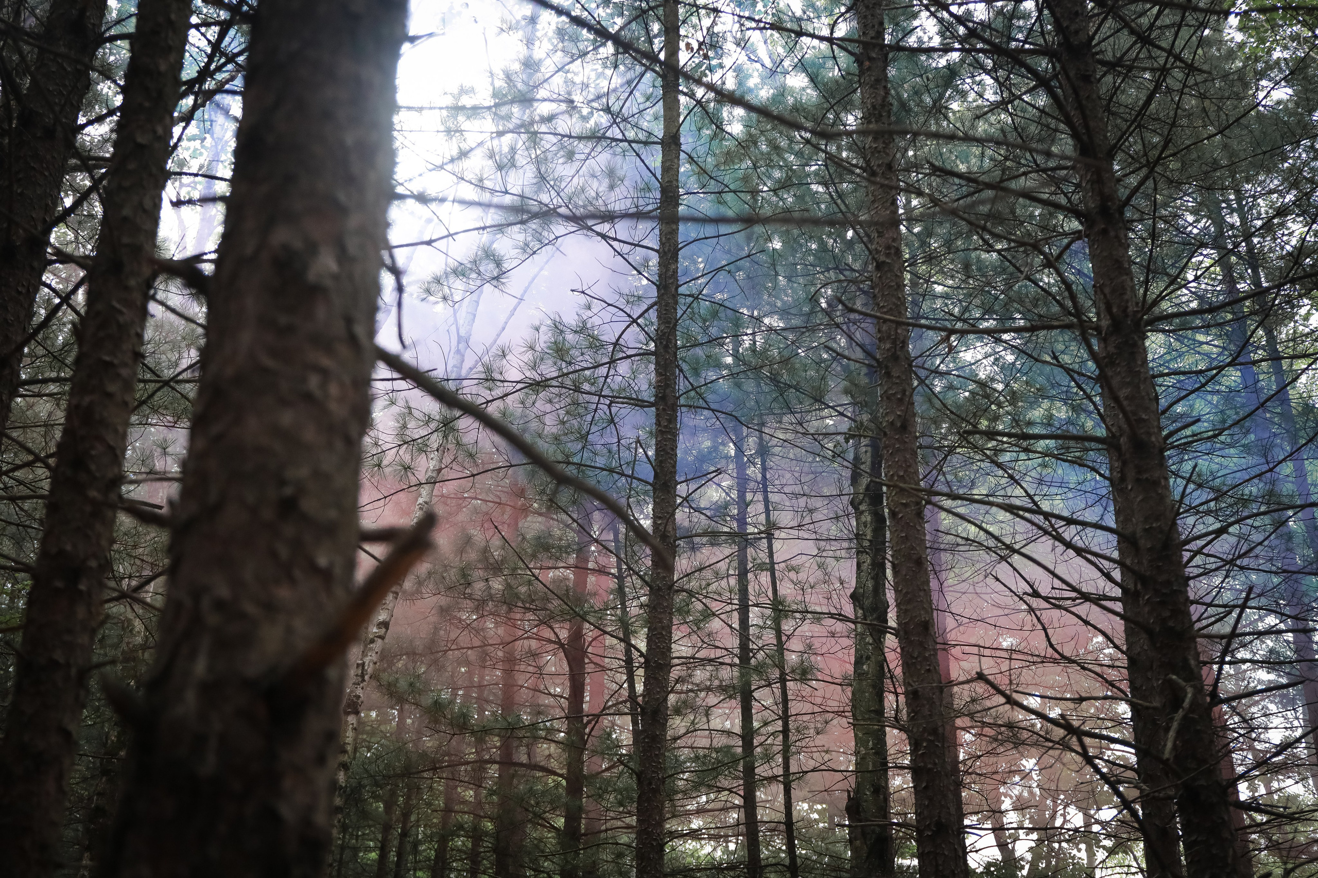 Евгений и Инна. Фотограф г. Хабаровск. Семейные и индивидуальные съёмки