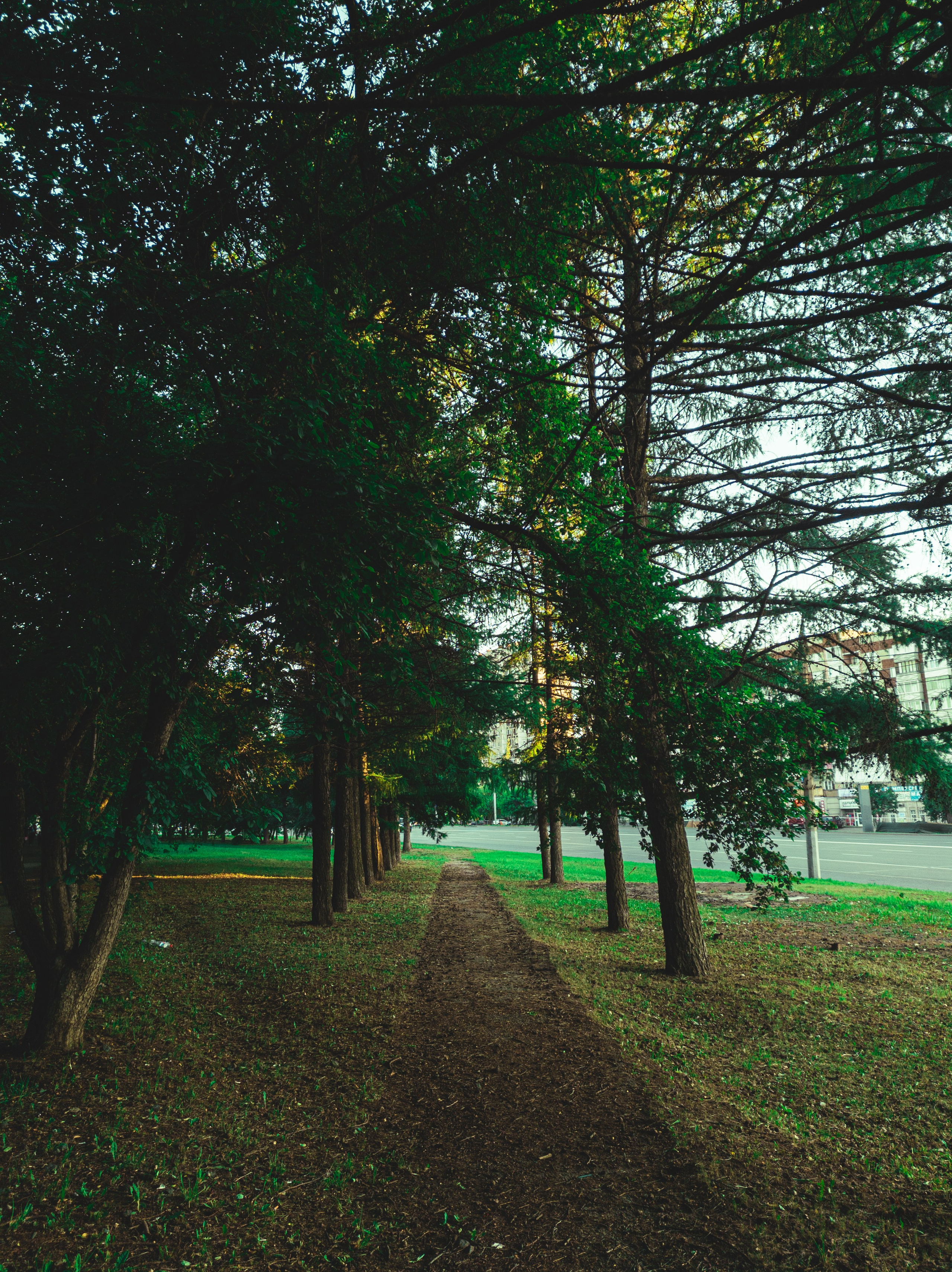 Эстетика ебеней. Олег Романов. Мастер фото по спорту