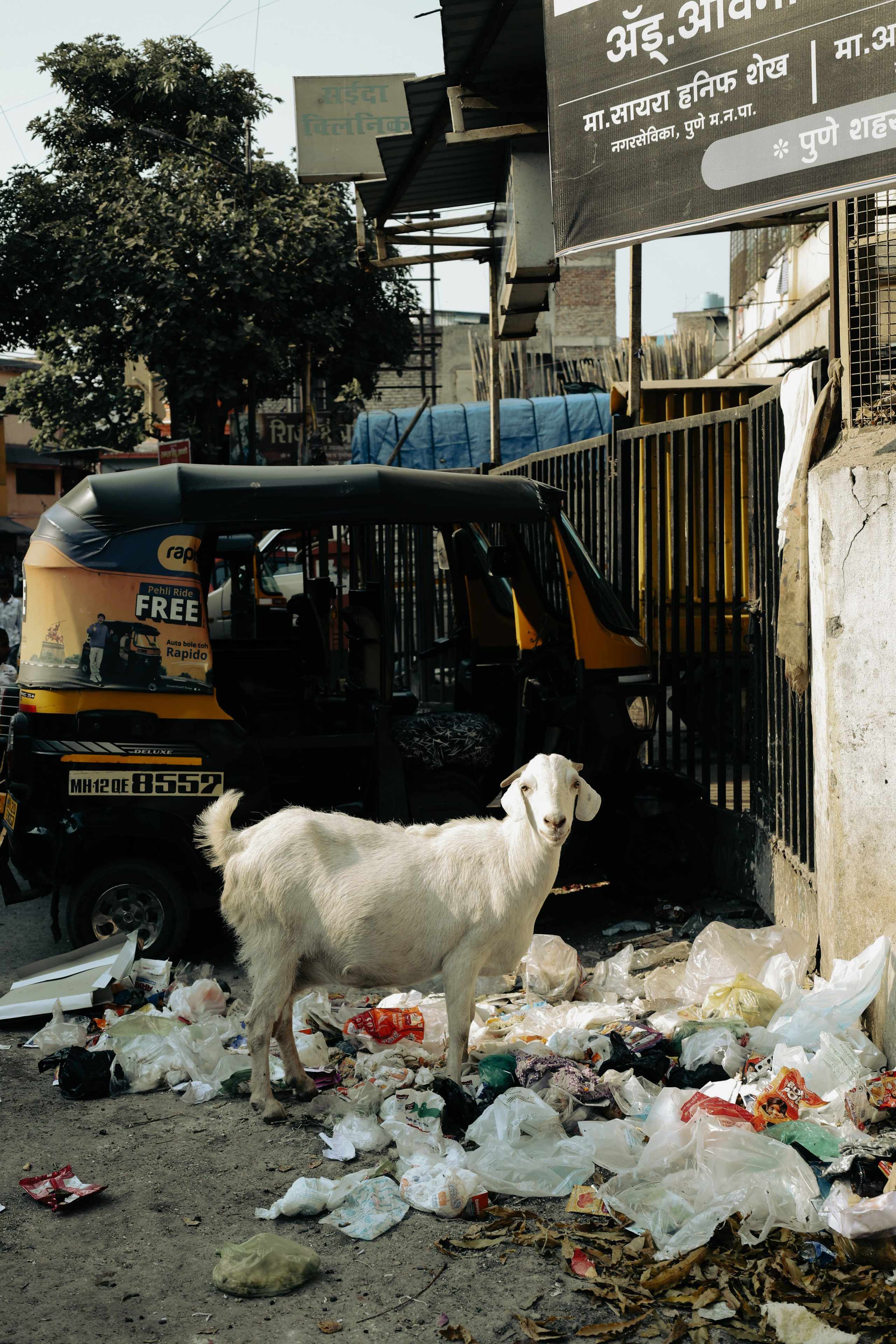 India. Фотограф в Москве