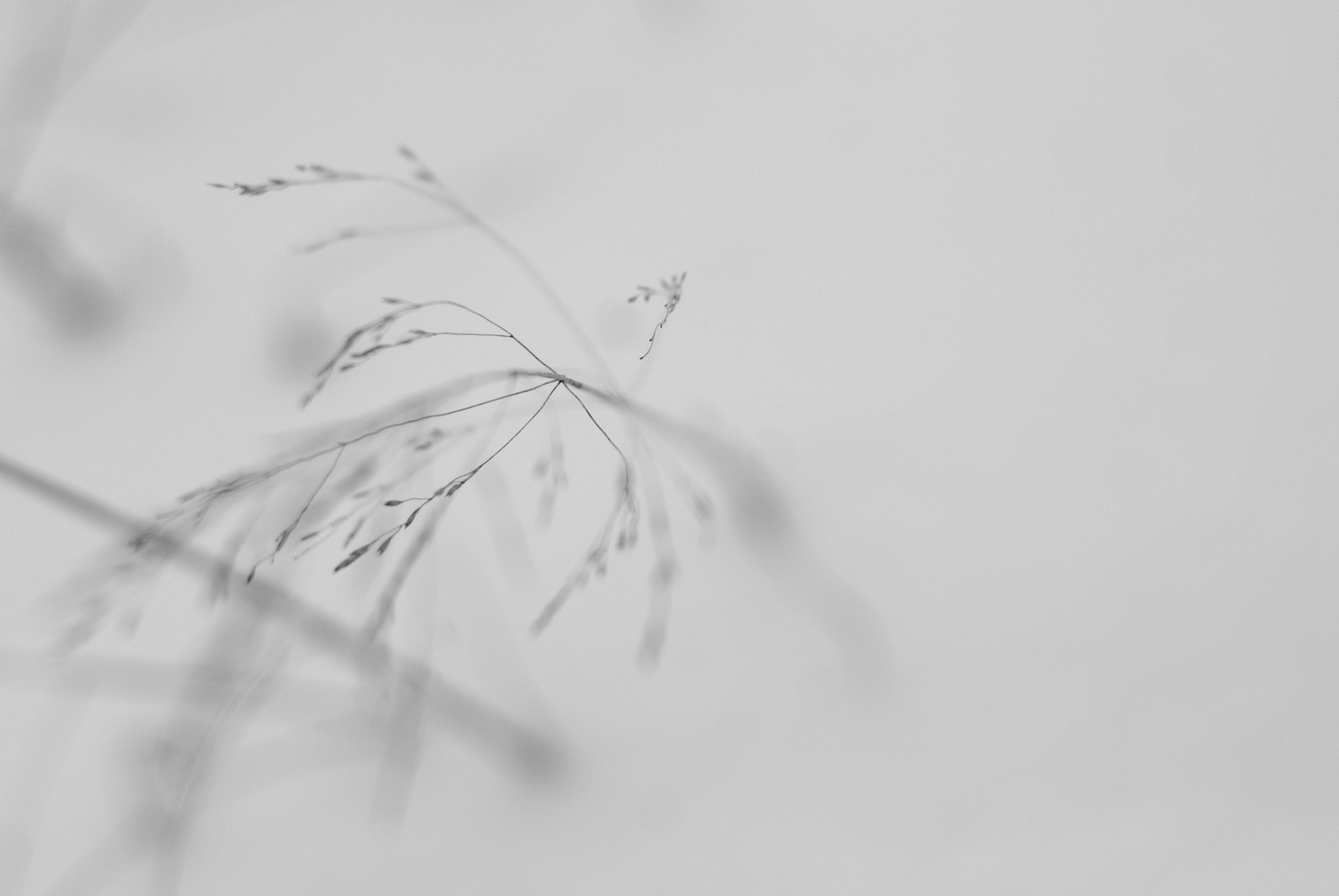 Внутривенные сны (2018-2023)