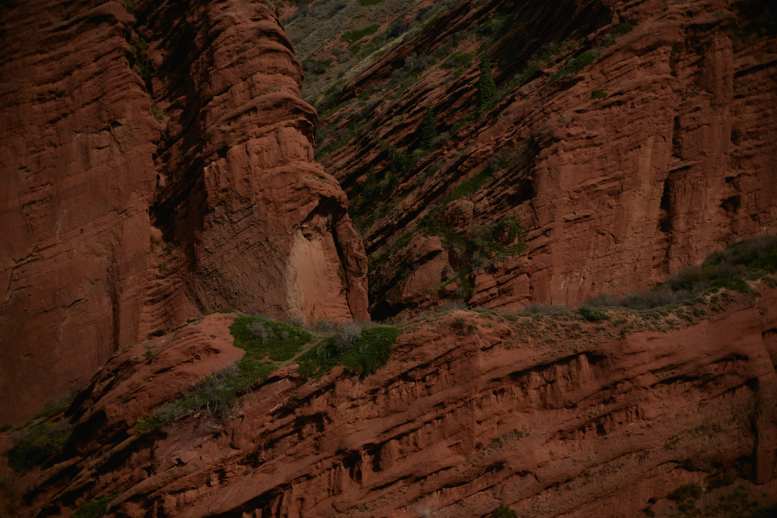 Кыргызтан. Профессиональный Фотограф во Владимире, в Москве и в Суздале — Полина Романычева