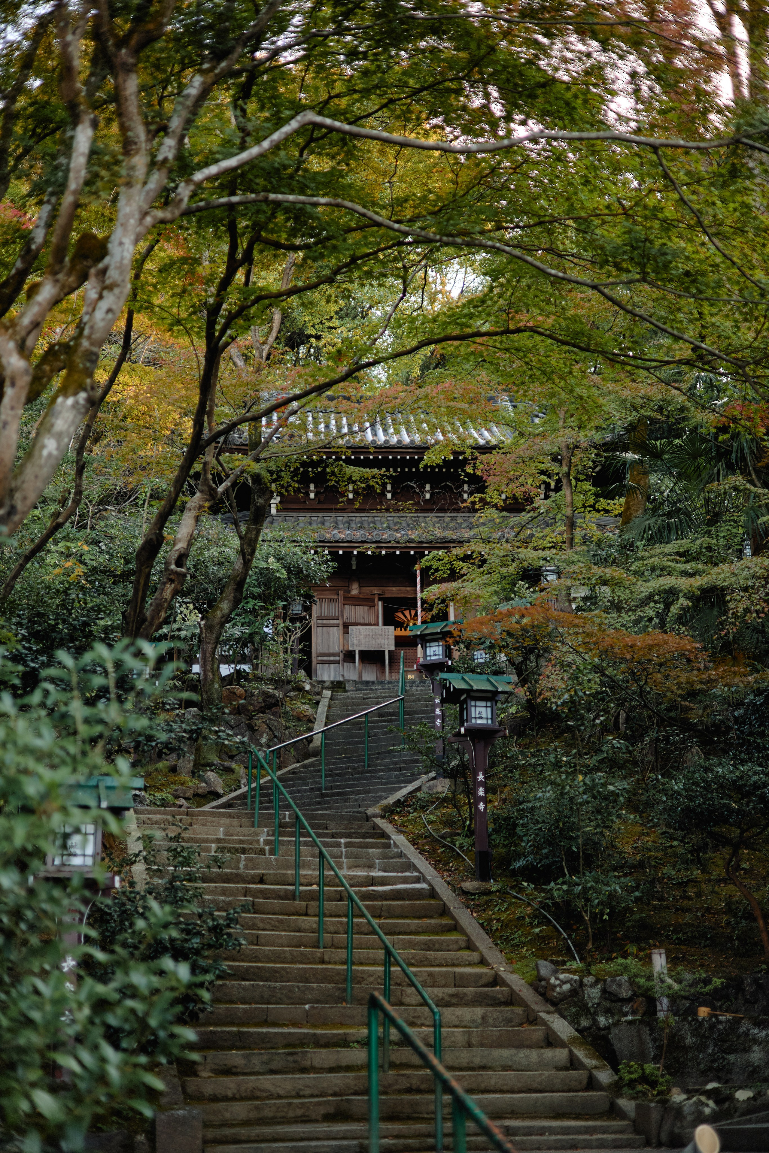 Япония. Профессиональный Фотограф во Владимире, в Москве и в Суздале — Полина Романычева