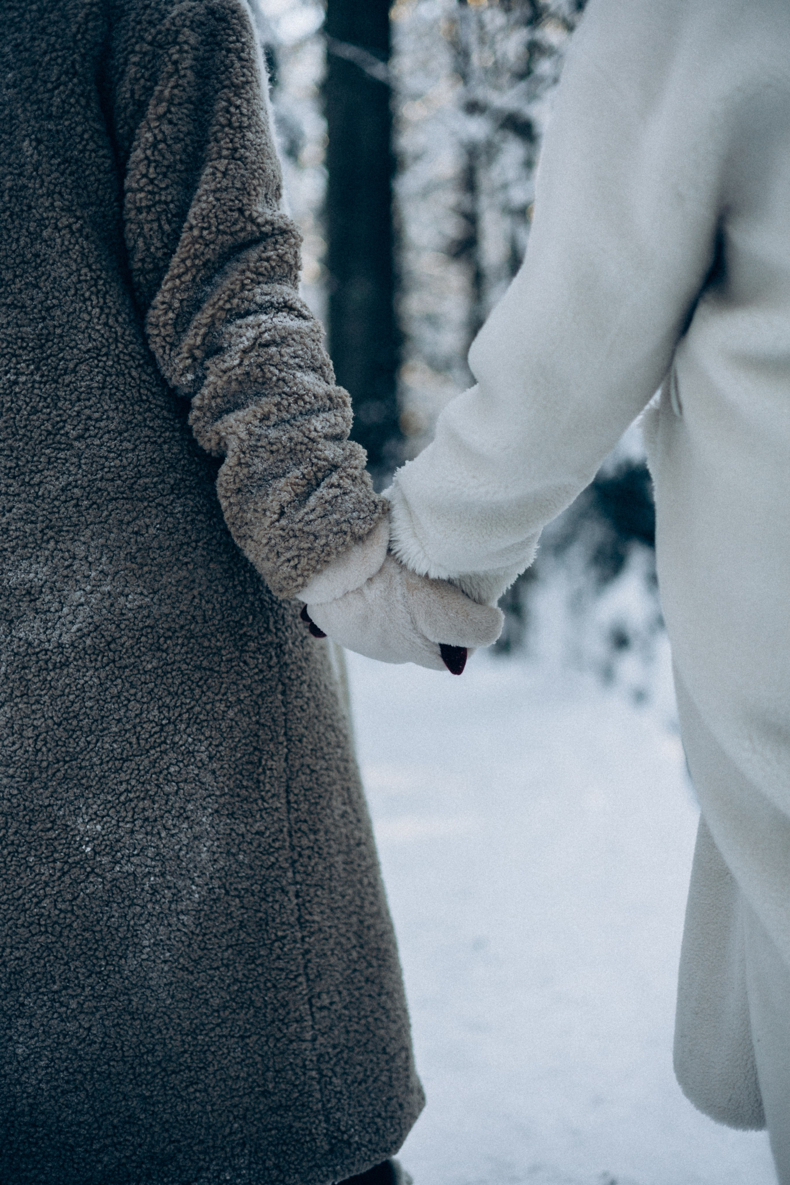 Софья и Алена. Дружба с пеленок. Комаровский берег. Главная