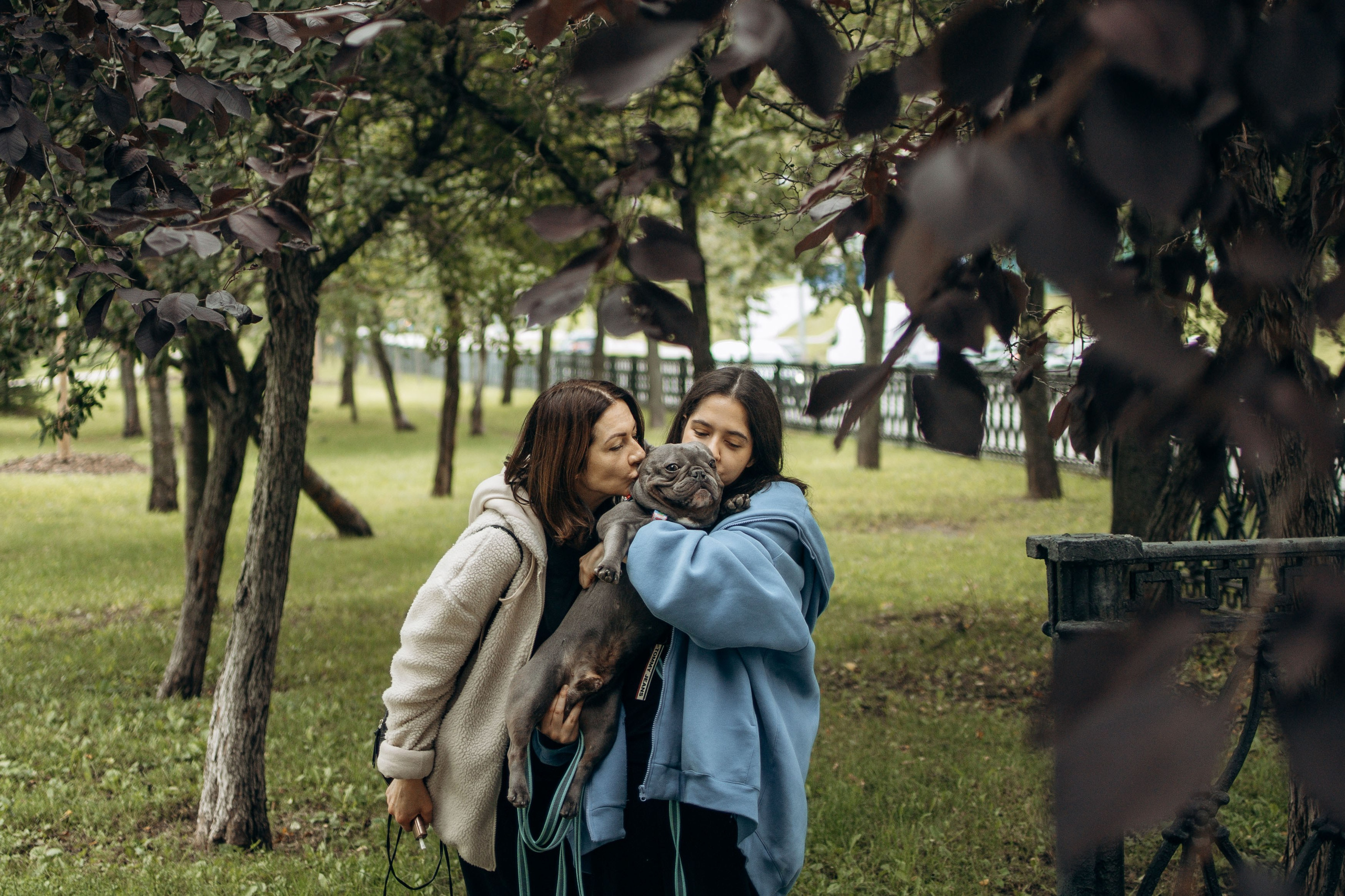 Грей и его семья