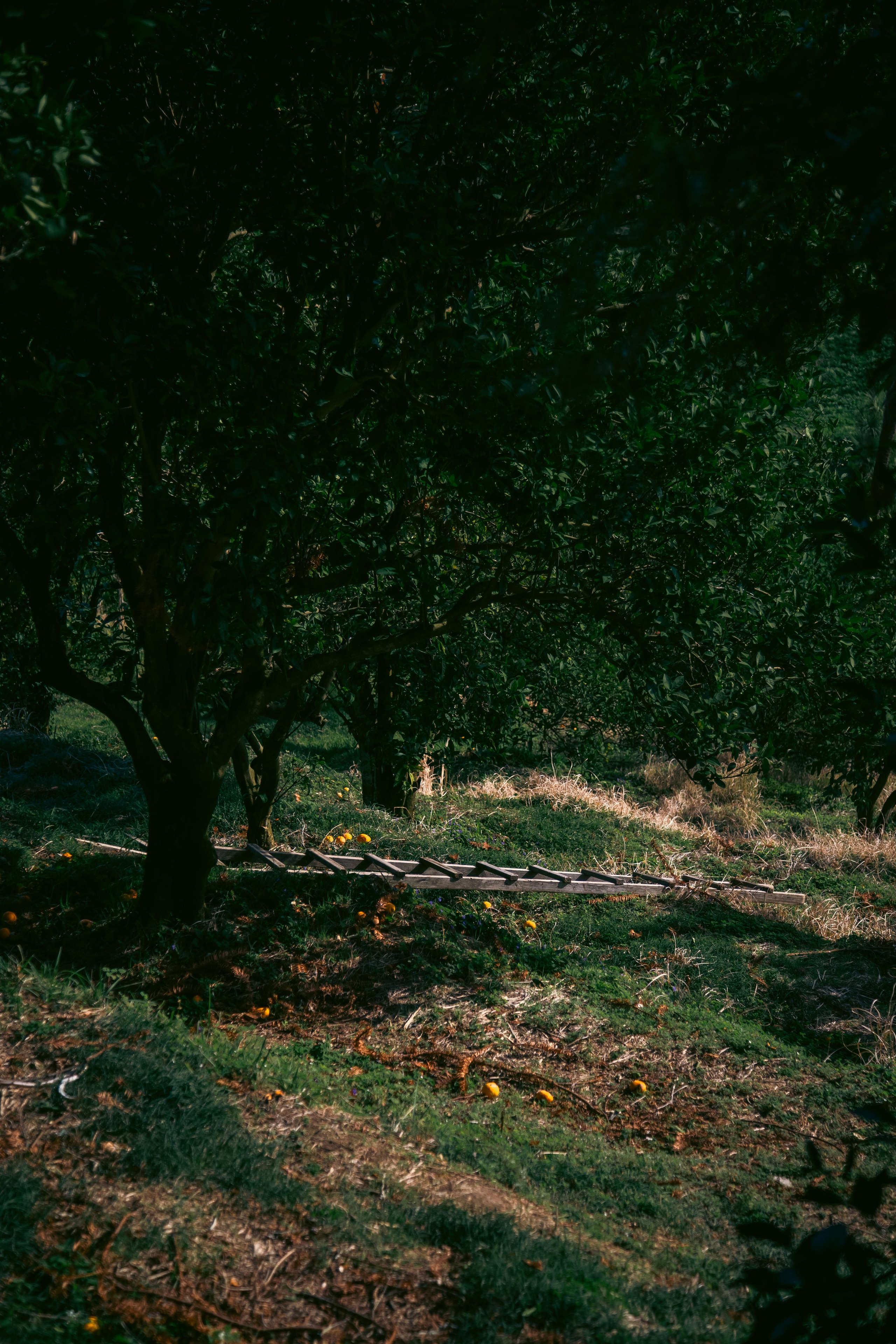 Batumi. Dmitriy [KCCC] is a pretty cool photographer