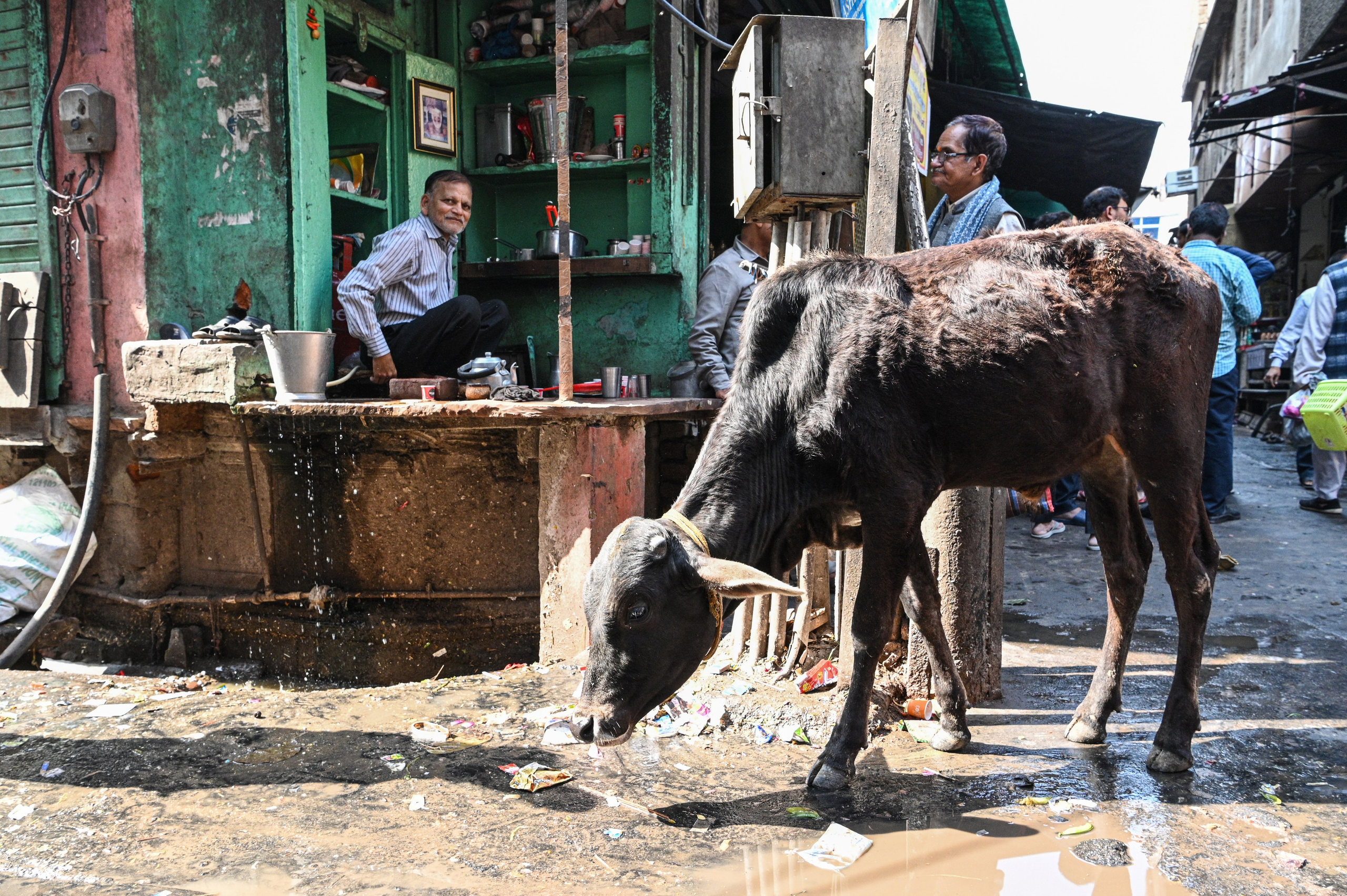 Невероятная Индия. Игорь Иванко — Репортажный и событийный фотограф. Москва