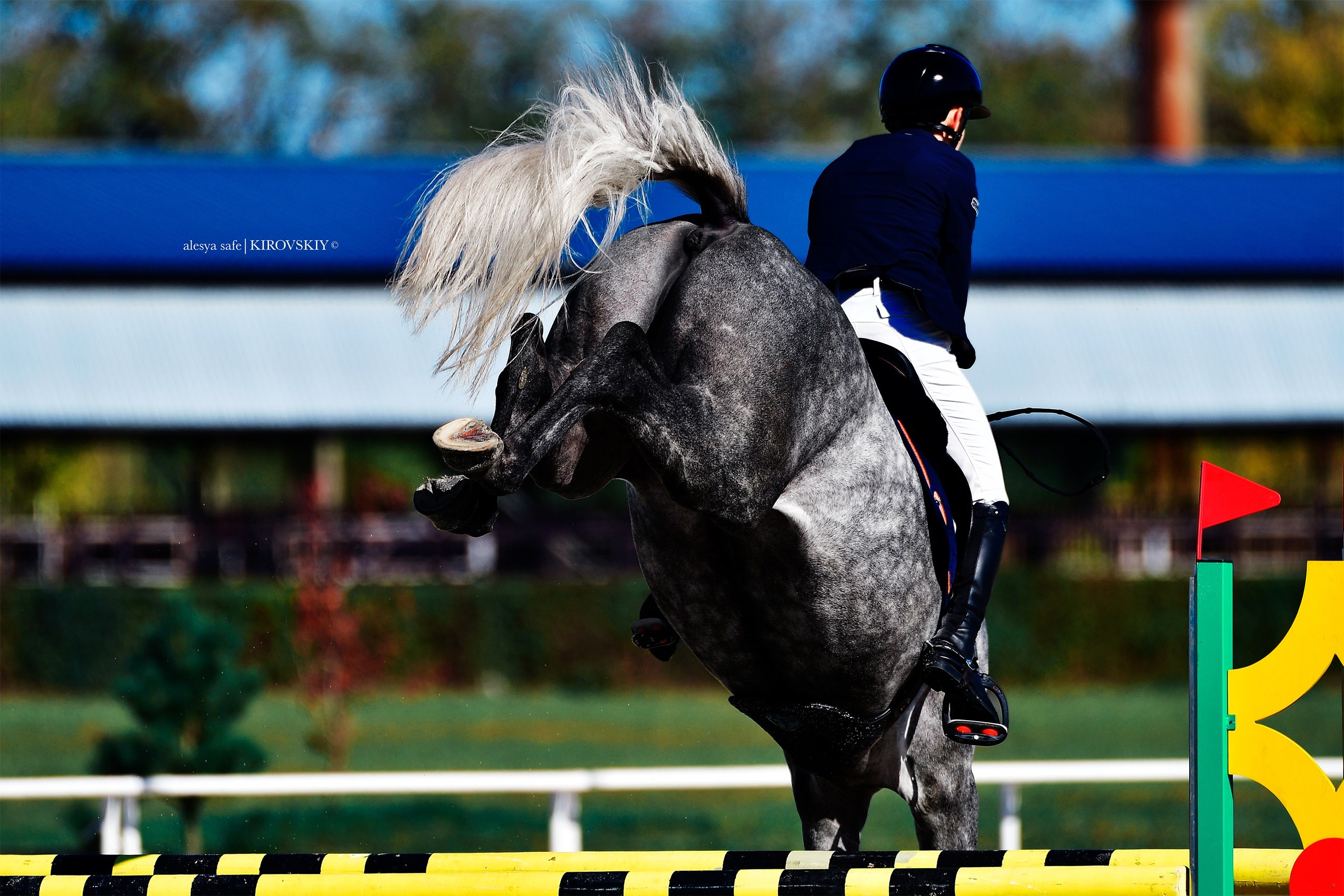 Кировский конный завод. Конный фотограф Alesya Safe