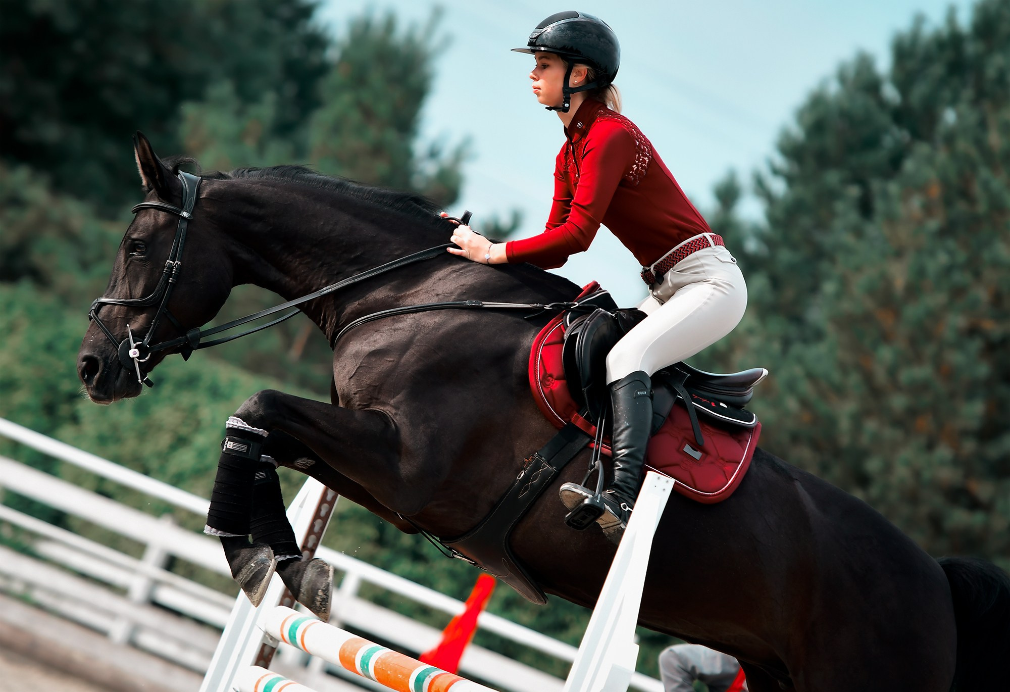 Тренировки. Конный фотограф Alesya Safe