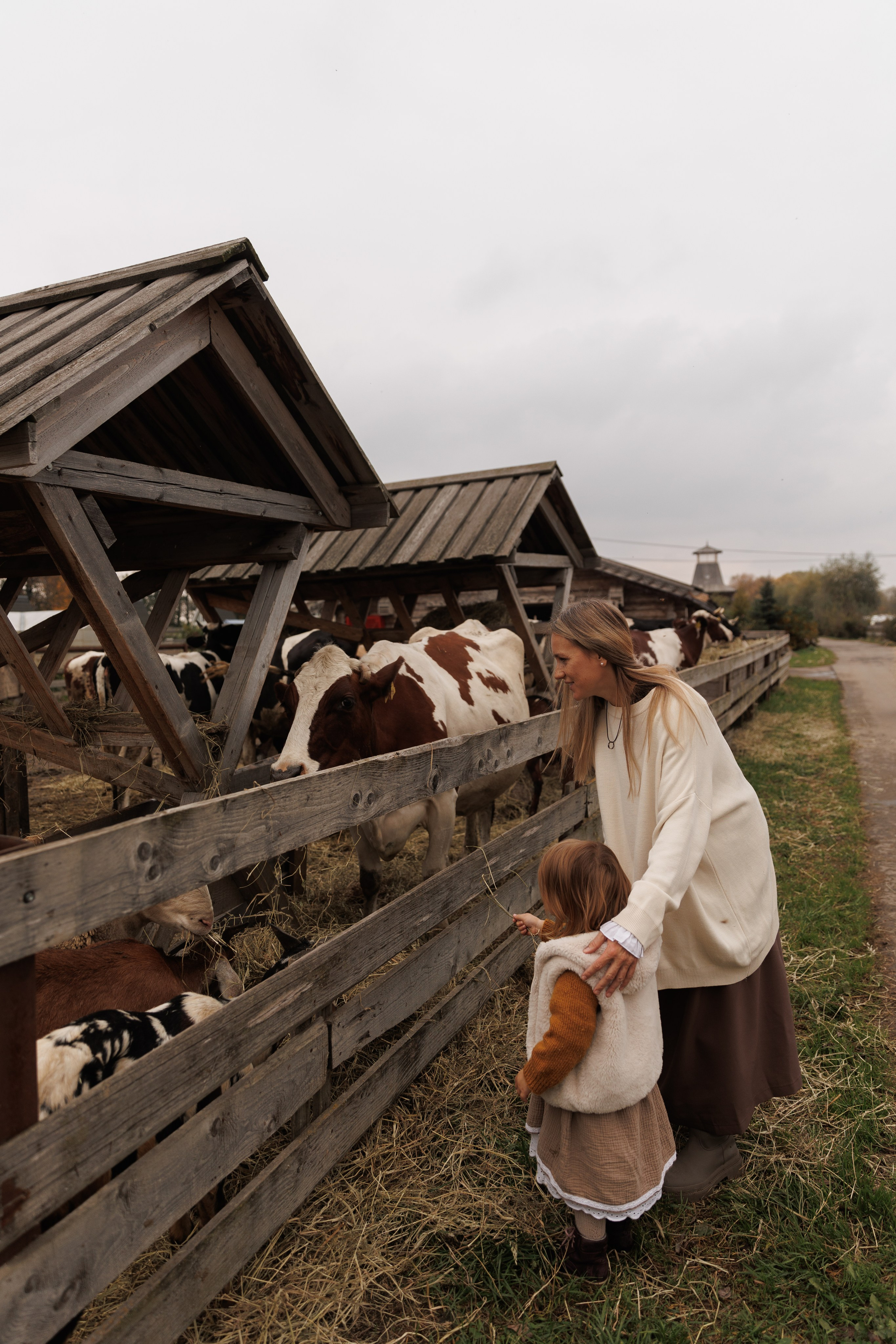 Осенняя прогулка (село Остров). Фотограф в Красногорске и Москве
