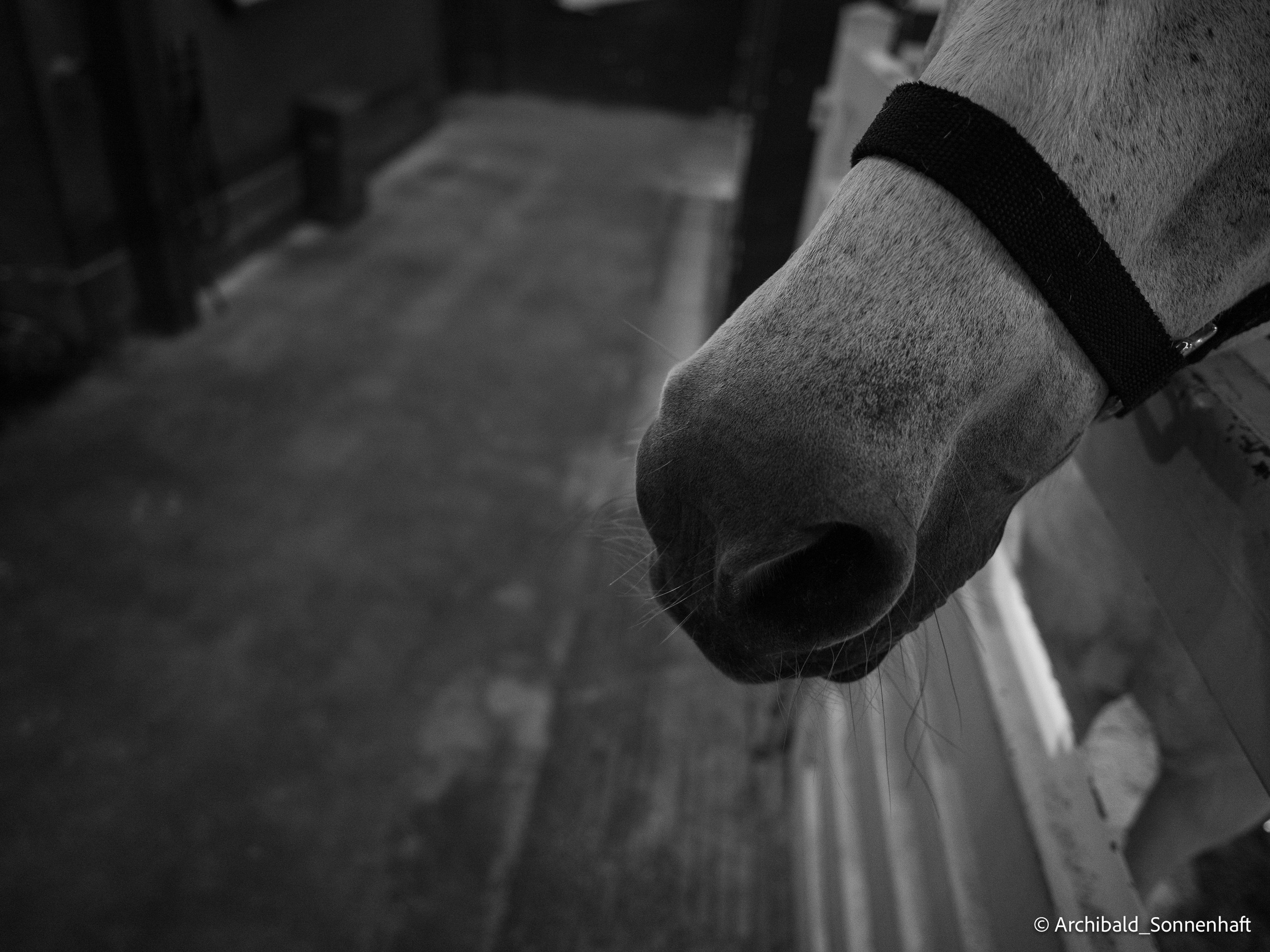 Office environs. Photographer in Guangzhou, China. Archibald Sonnenhaft