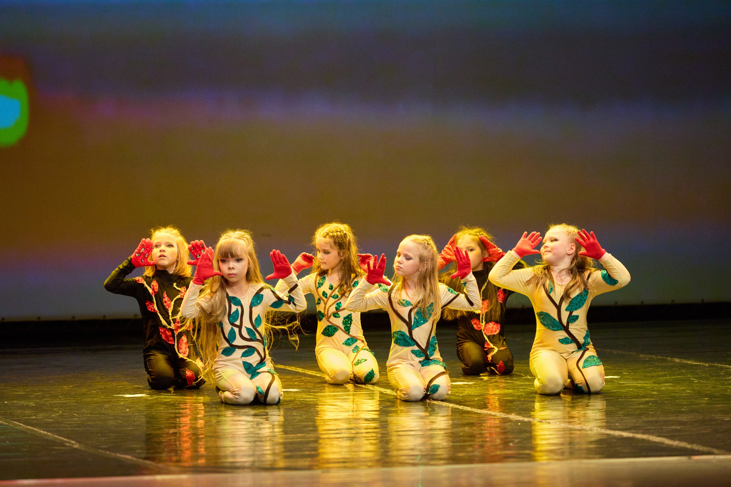 ДК Правобережный Красноярск