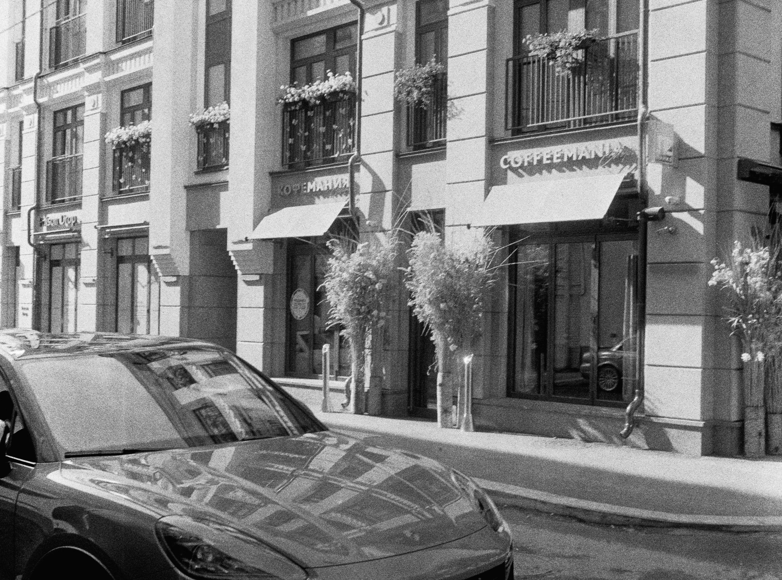 Роскошь. Сергей Новиков Фотограф Москва