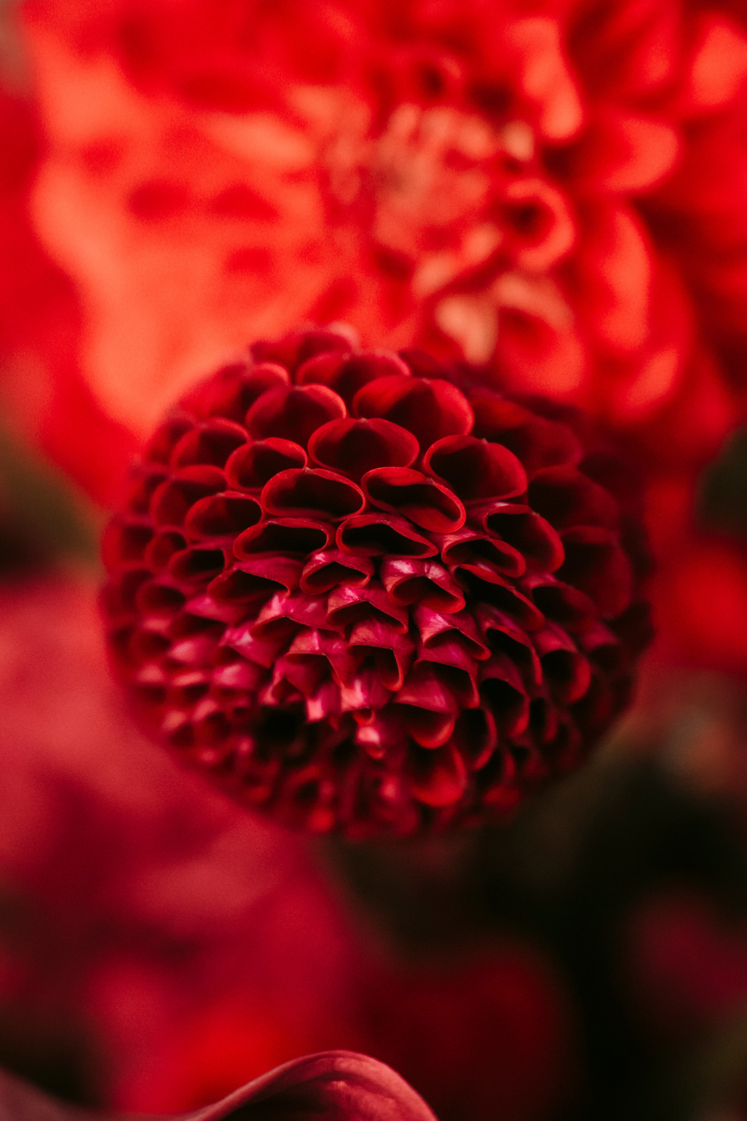 Цветочный андеграунд. Главная