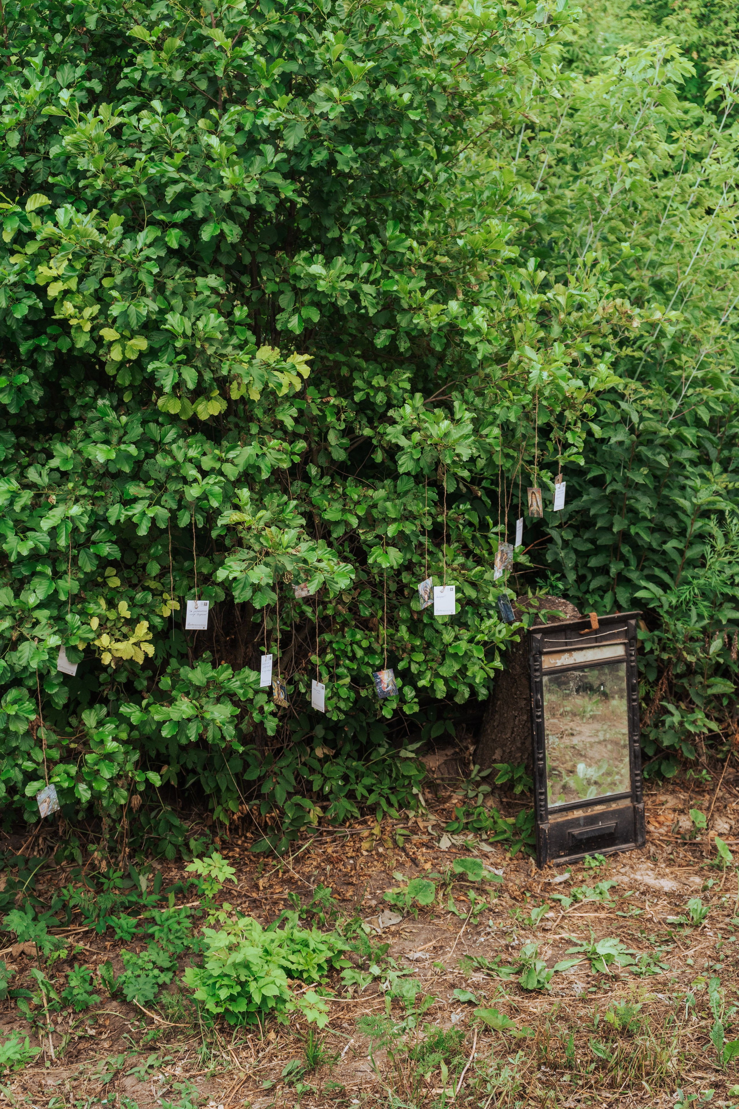 Ретрит от т-центра Псайторий 2024. Портретный фотограф Нижний Новгород