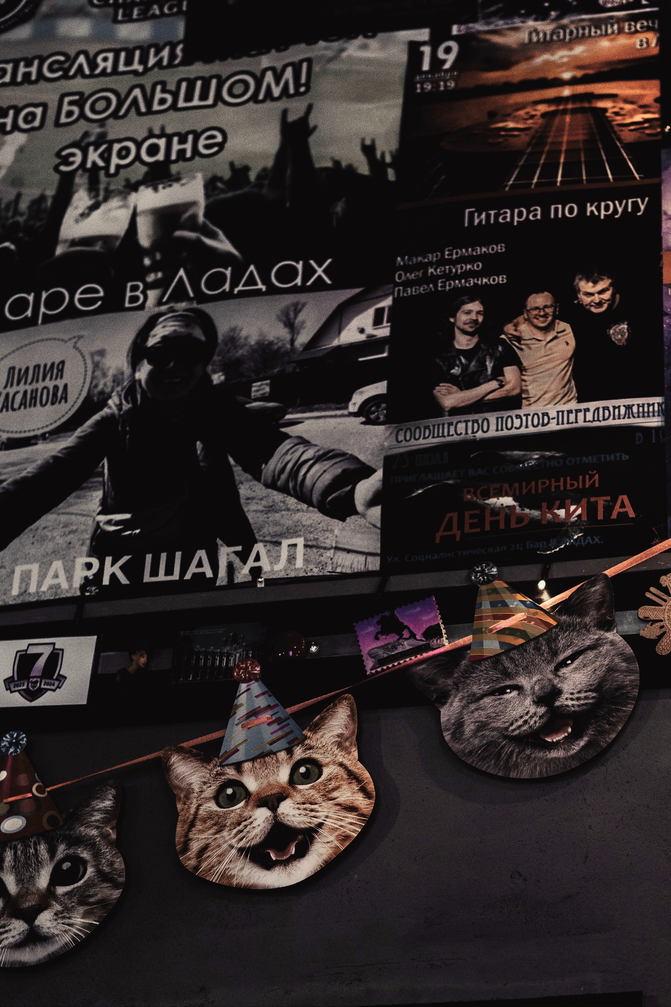 Концерт СПБ Бар В Ладах. Портретный фотограф в Санкт-Петербурге Дори Милиева