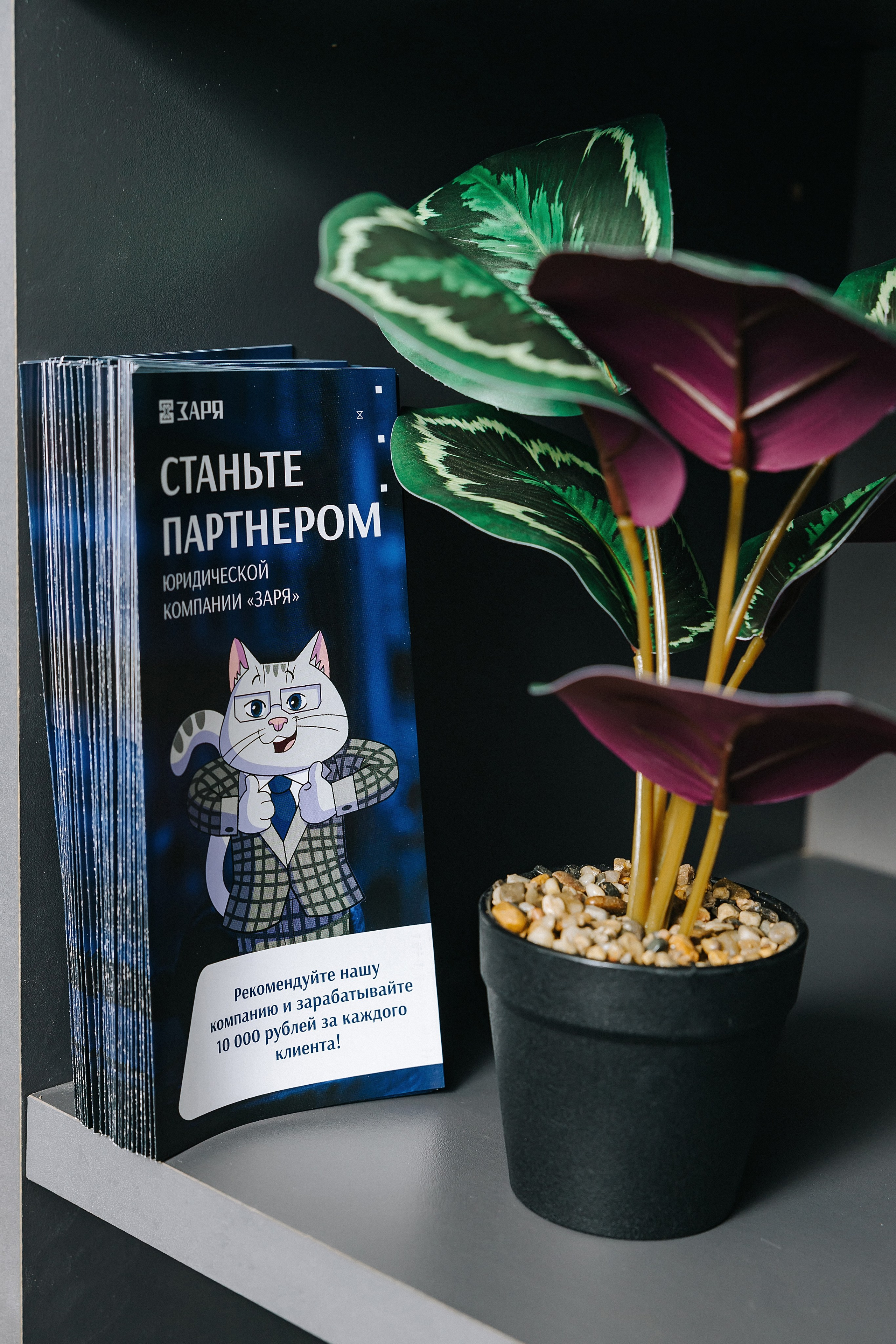 Юридическая компания «Заря». Александр Антонов. Профессиональный свадебный, репортажный фотограф в Москве, Подольске. Фото+Видео на любой праздник