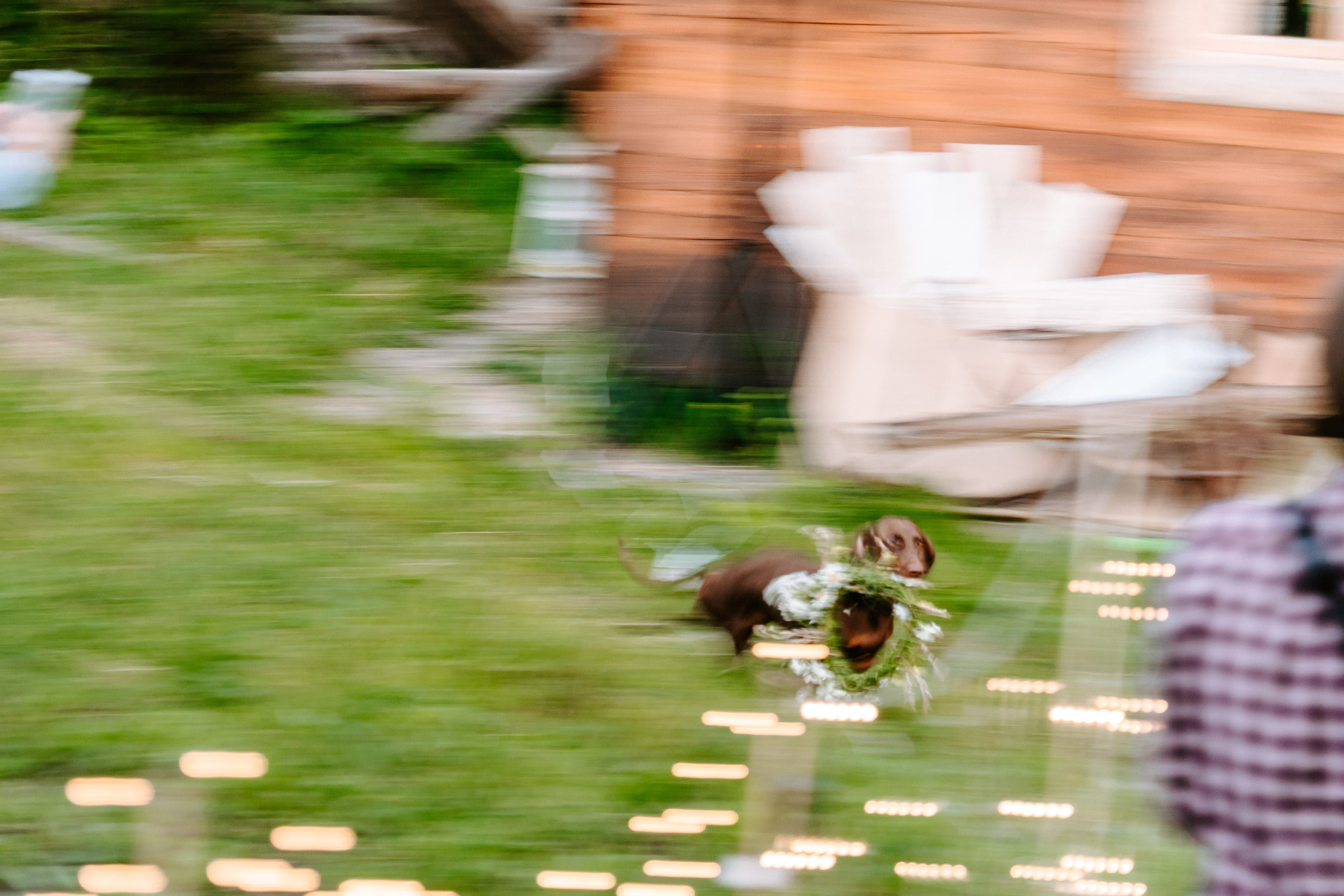 Свадебная фотосессия для Дарии и Алексея, 2022 год. Портретный фотограф в Томске Наташа Барова
