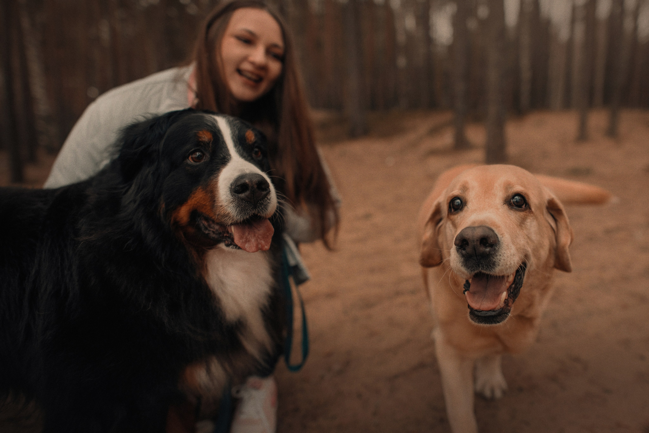 Прогулка: берн Пума, Фрэнк и Юля в Питере. Портфолио