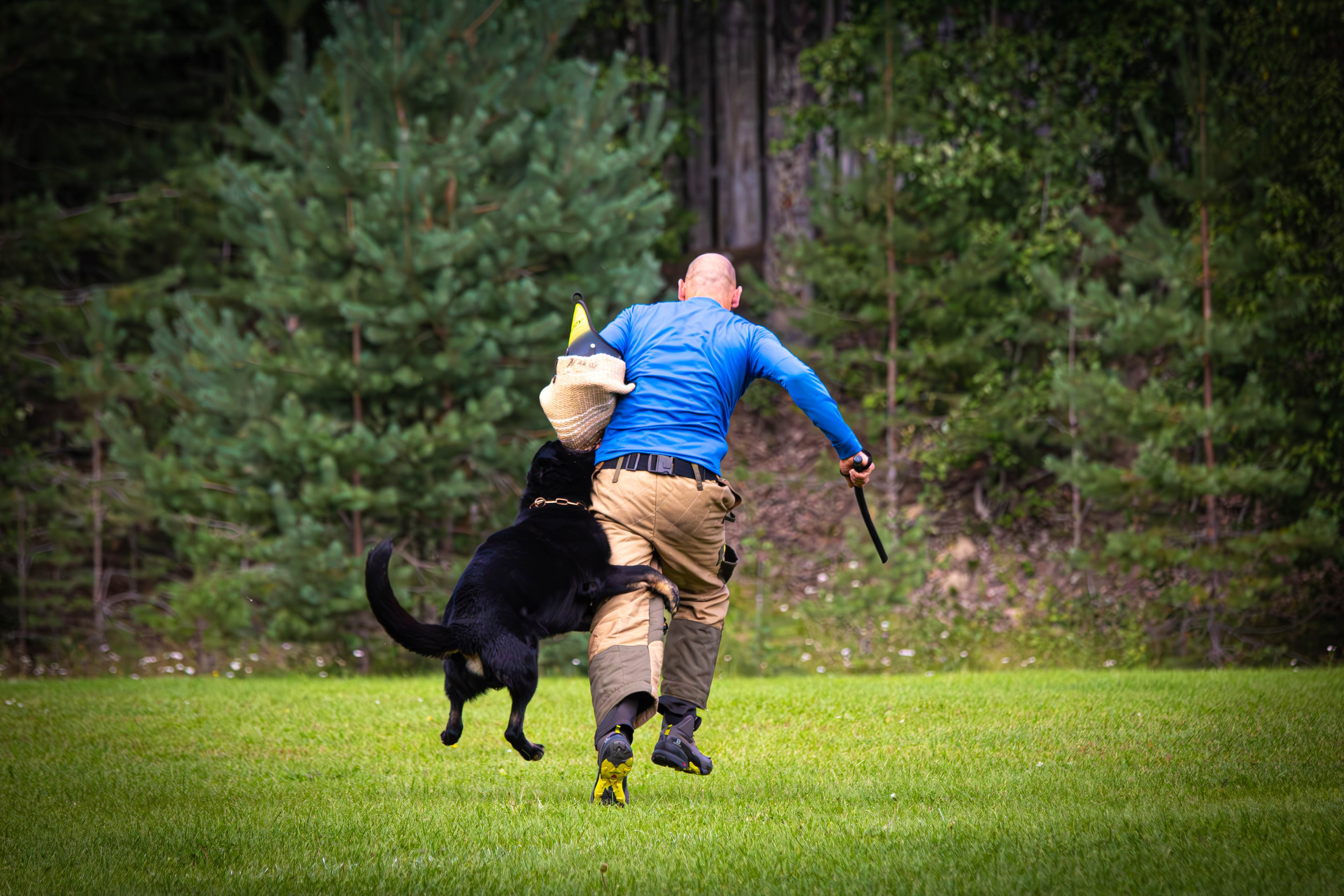 Фотограф анималист репортаж. Фотограф анималист — Тула, Москва