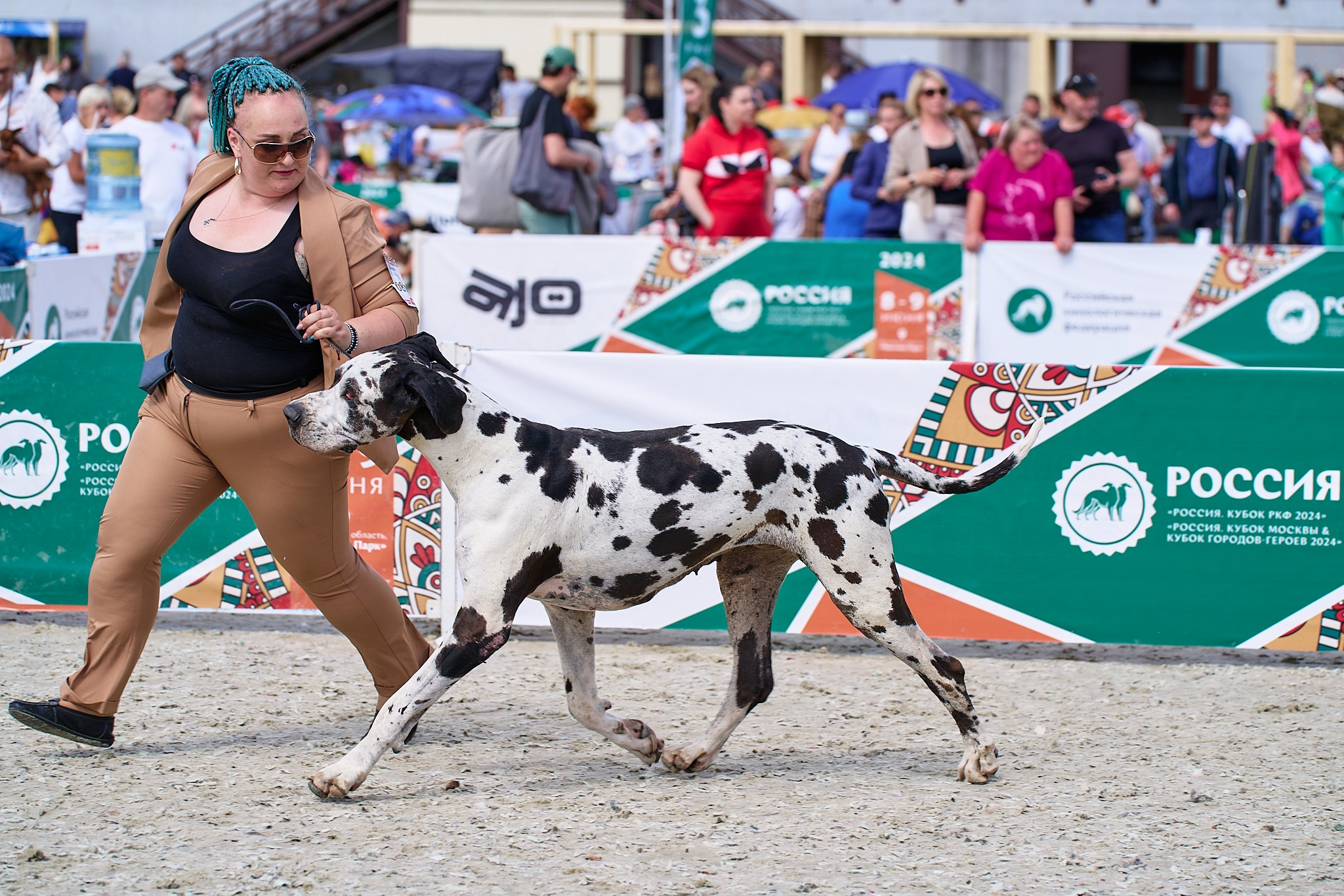 09.06.2024, «РОССИЯ. КУБОК МОСКВЫ 2024 & КУБОК ГОРОДОВ-ГЕРОЕВ»
