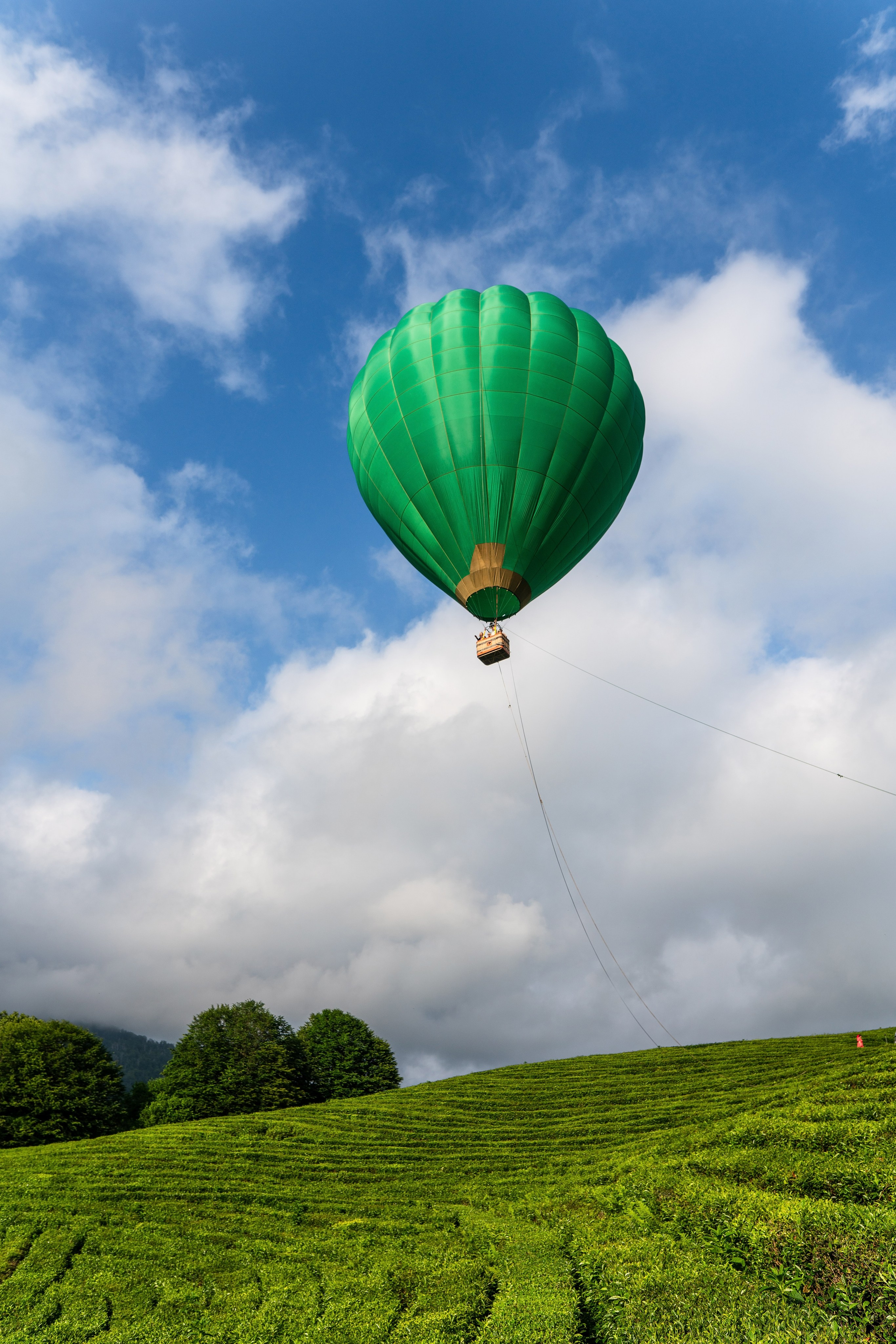 Фотограф на праздник Сочи. Фотограф Сочи