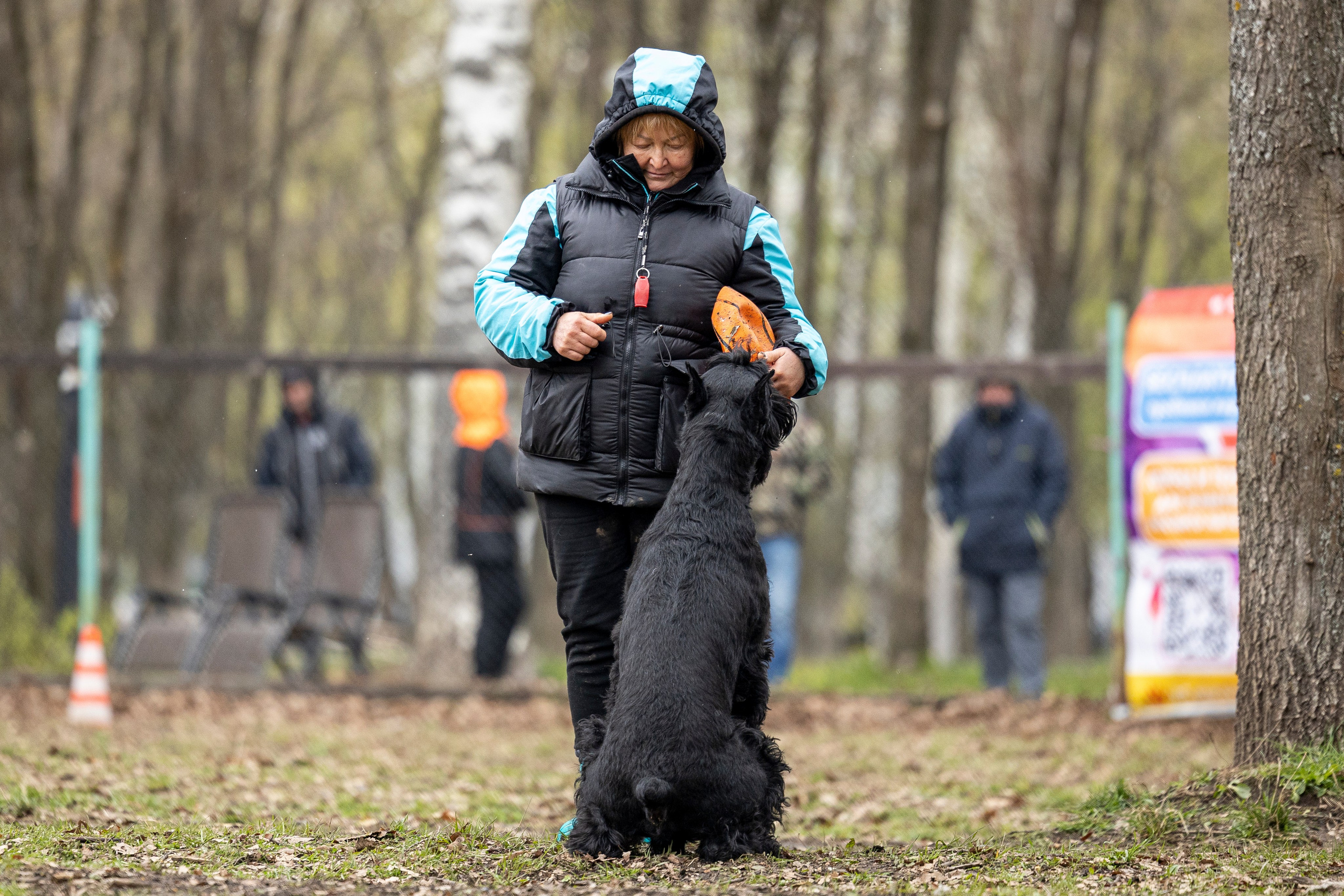 Квалификационные состязания по мондьорингу г. Вологда 11.05.24. Фотограф-анималист Анна Маринич