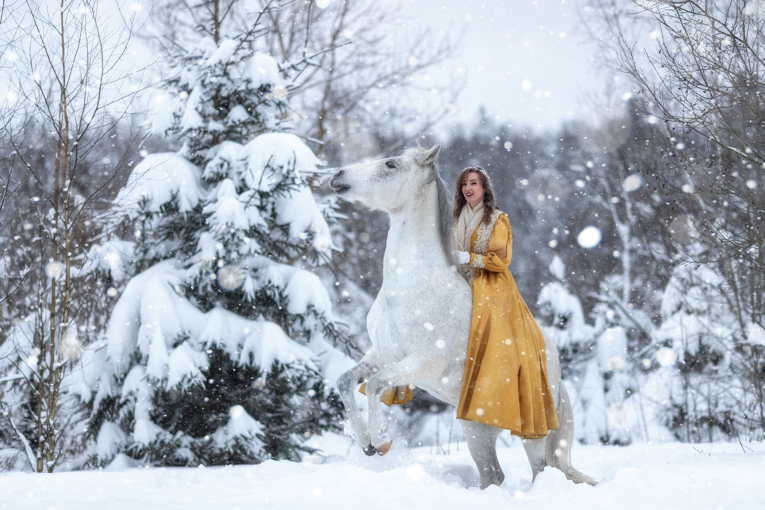 Фотосессия с лошадью зимой. Фотосессии с лошадьми в Москве от фотографа Кутейниковой Светланы