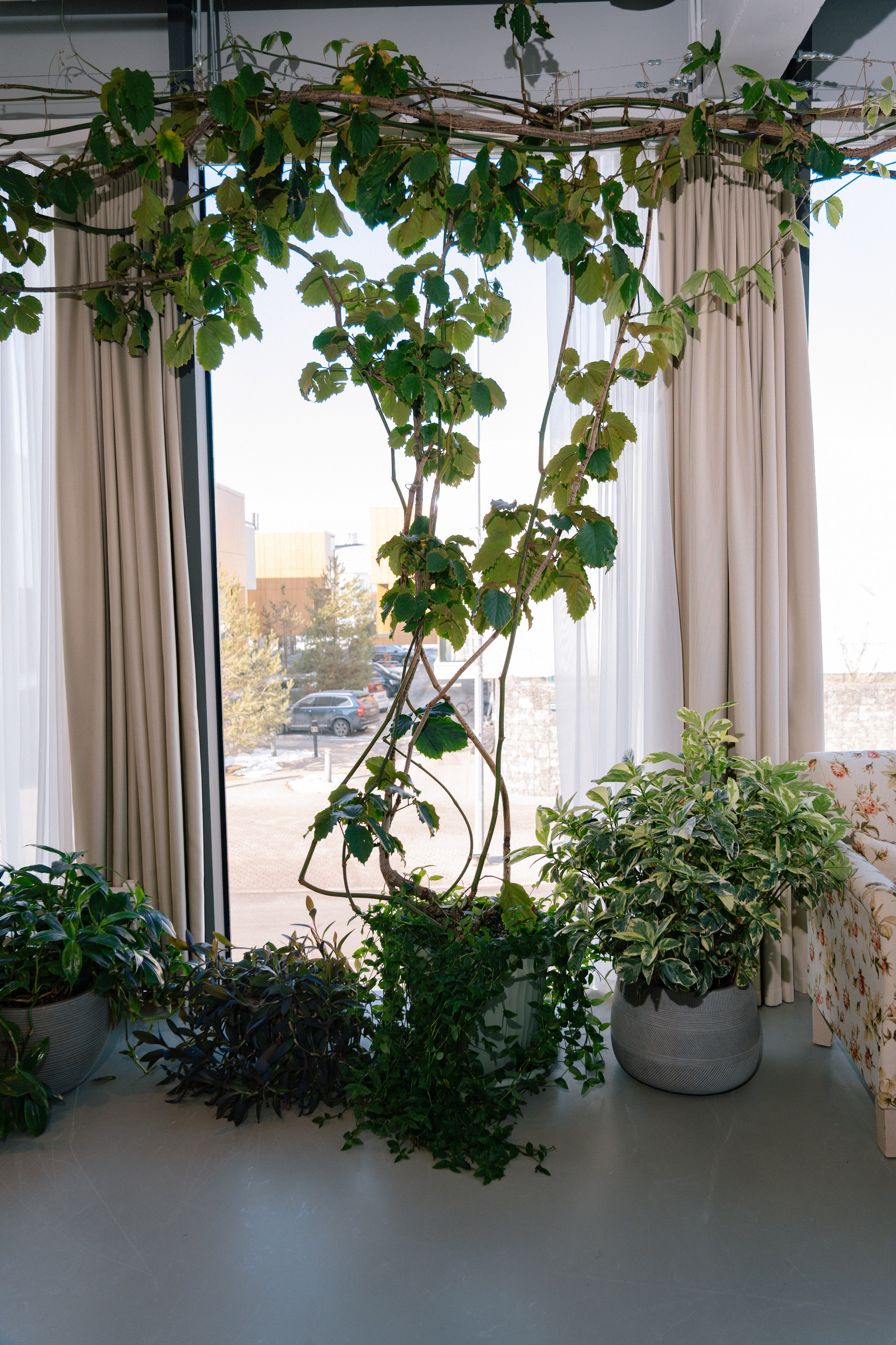 Бизнес завтрак в пространстве АЯ в Сколково